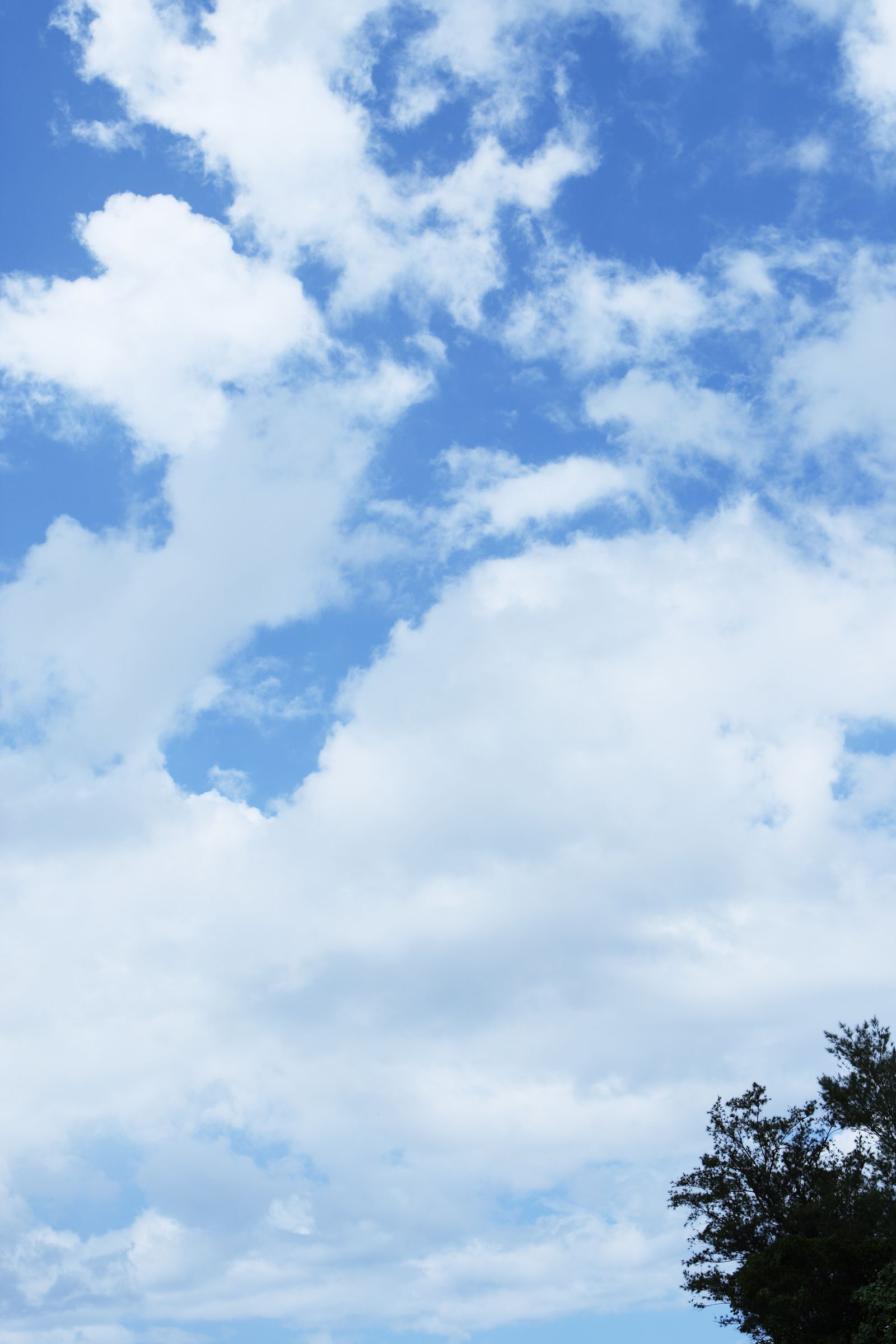 SF-No.459 入江紗綾 Saaya Irie -UNDERAGE!-图25