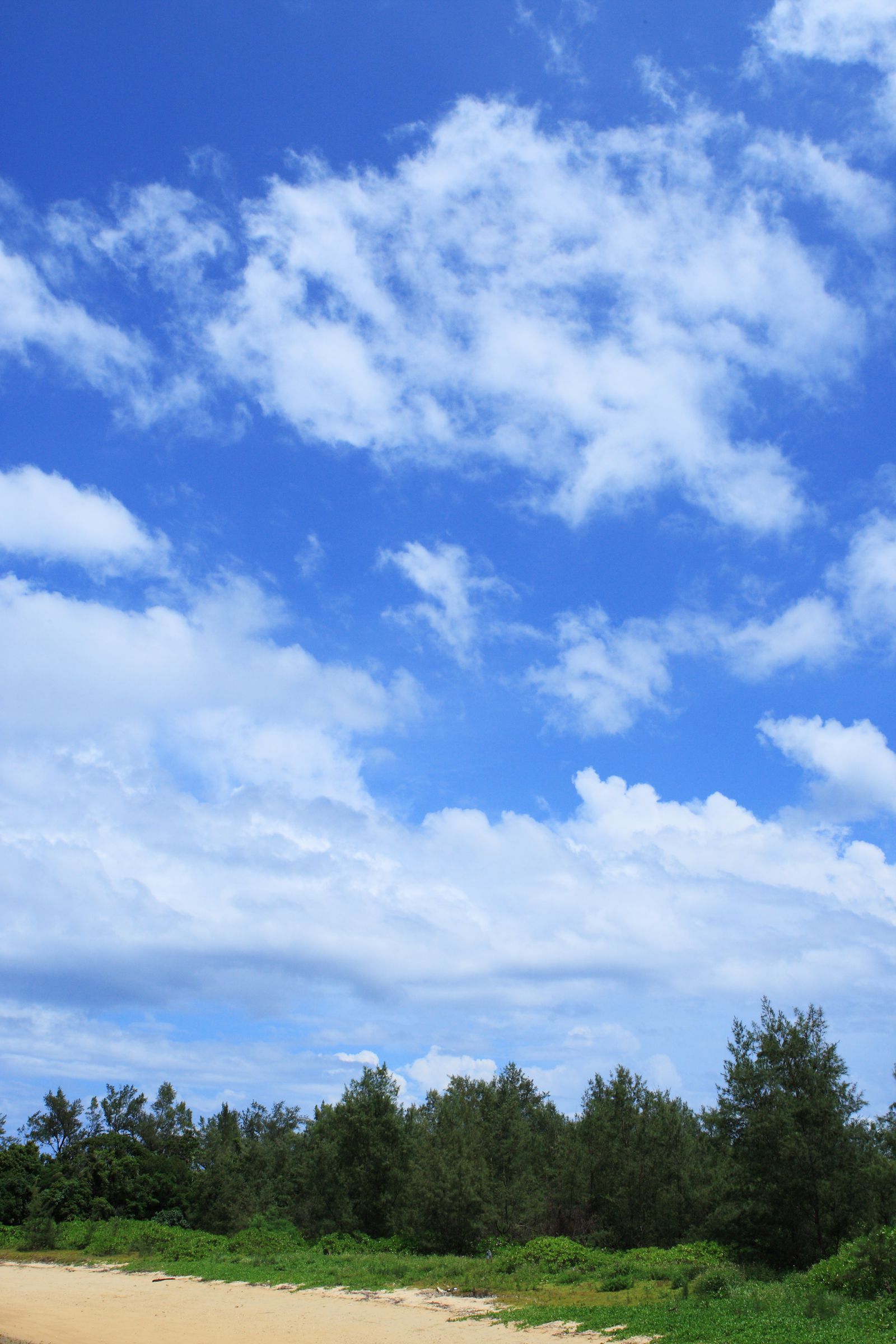 SF-No.459 入江紗綾 Saaya Irie -UNDERAGE!-图26