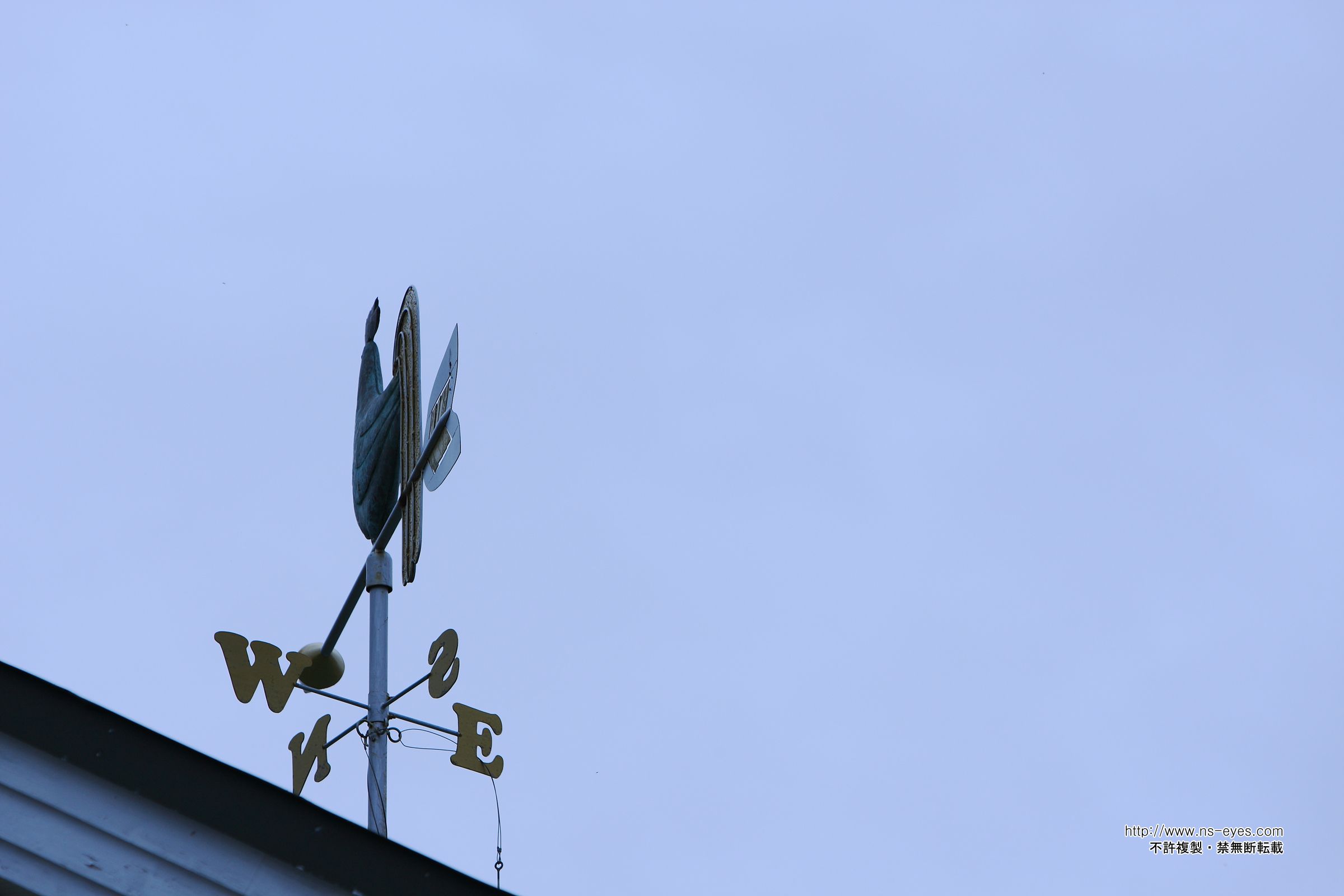 SF-No.461 小泉麻耶 Maya Koizumi-图15