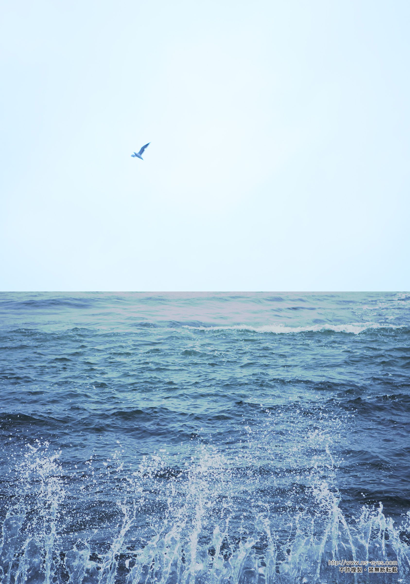 SF-No.461 小泉麻耶 Maya Koizumi-图28