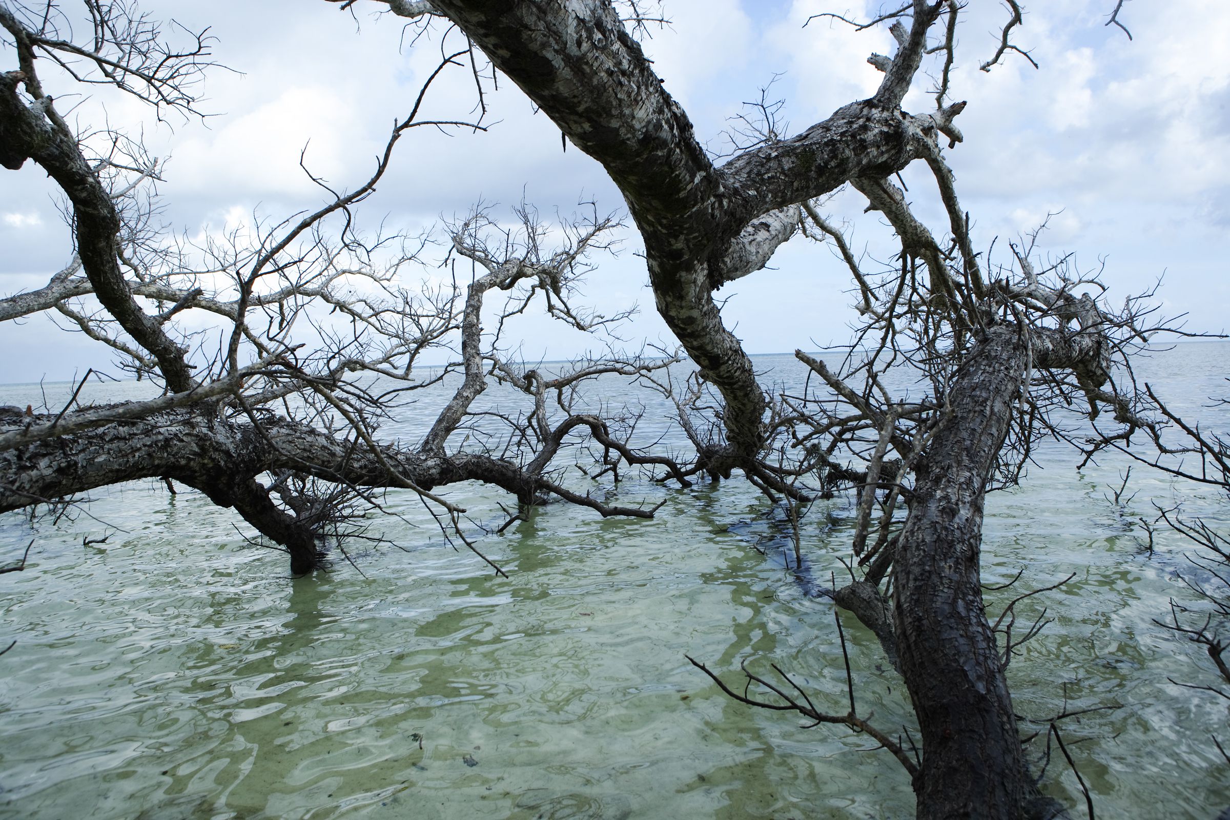 SF-No.472 Nao Nagasawa 长泽奈央/長澤奈央-图27