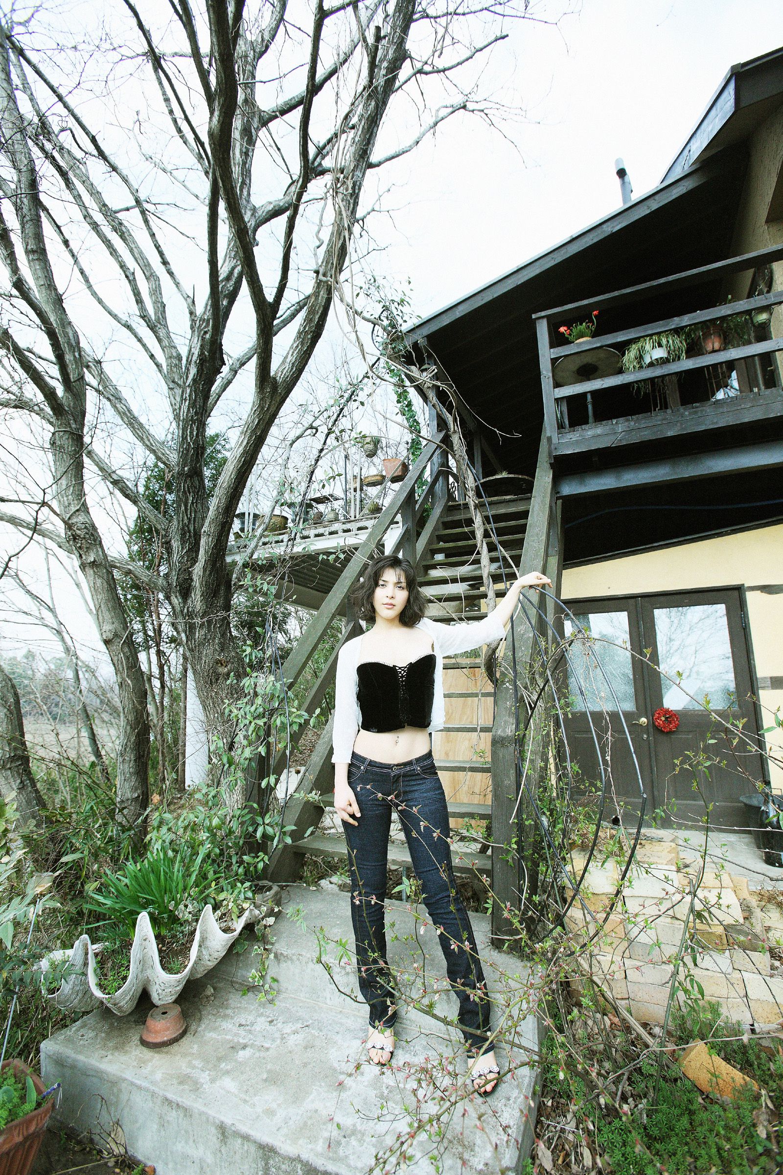 SF-No.474 Sahel Rosa 波斯美人-图13