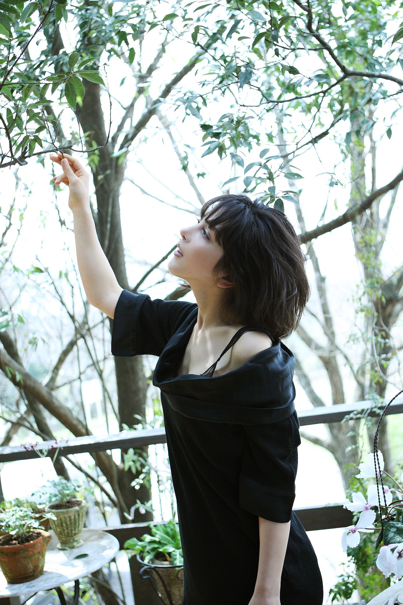 SF-No.474 Sahel Rosa 波斯美人-图18