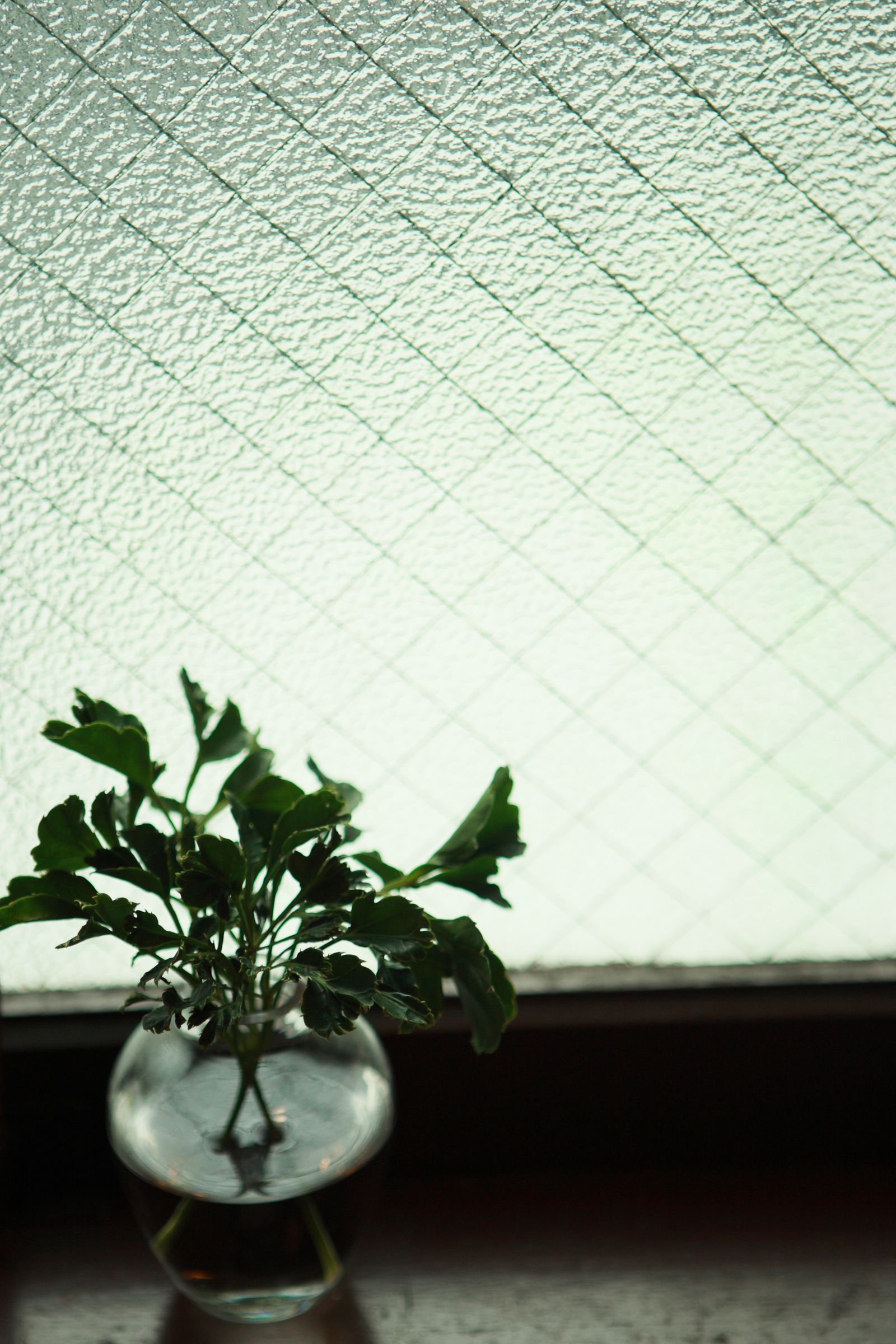 SF-No.479 Mihiro みひろ/朝美穗香-图5