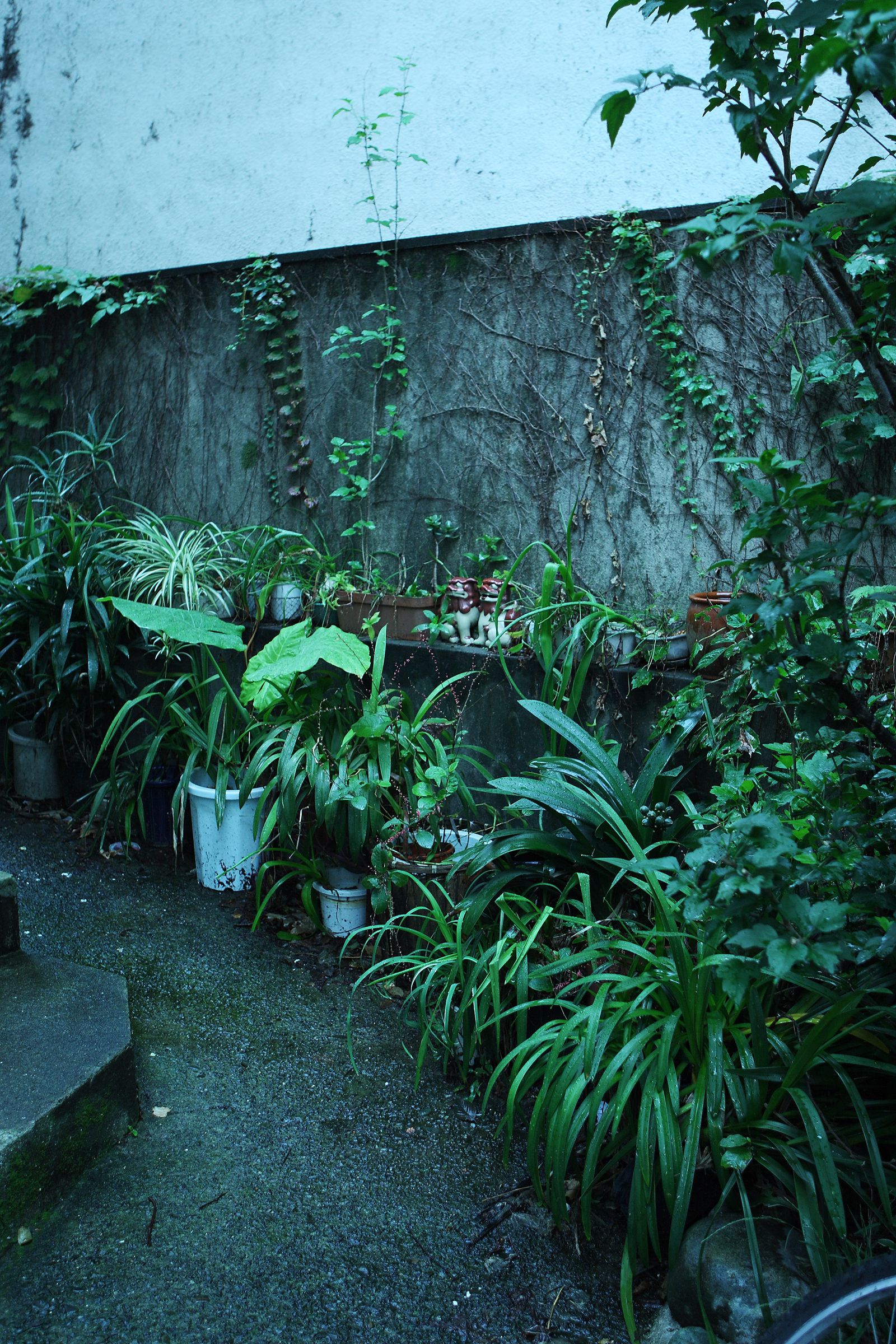 SF-No.479 Mihiro みひろ/朝美穗香-图8