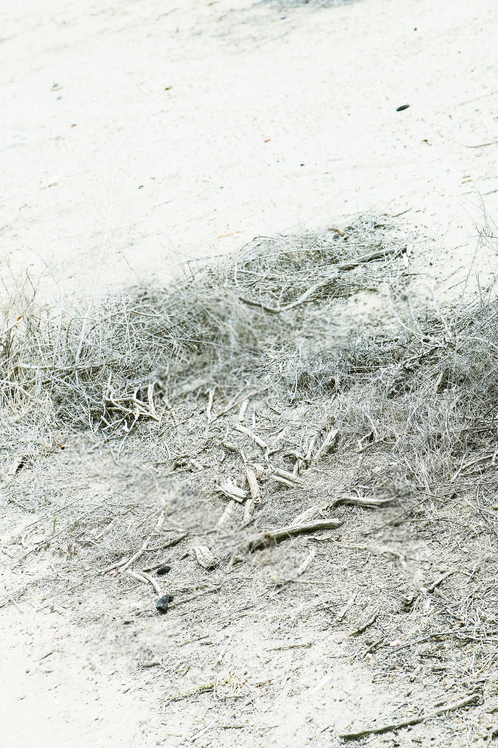 SF-No.487 Aki Hoshino ほしのあき/星野亚纪-图18