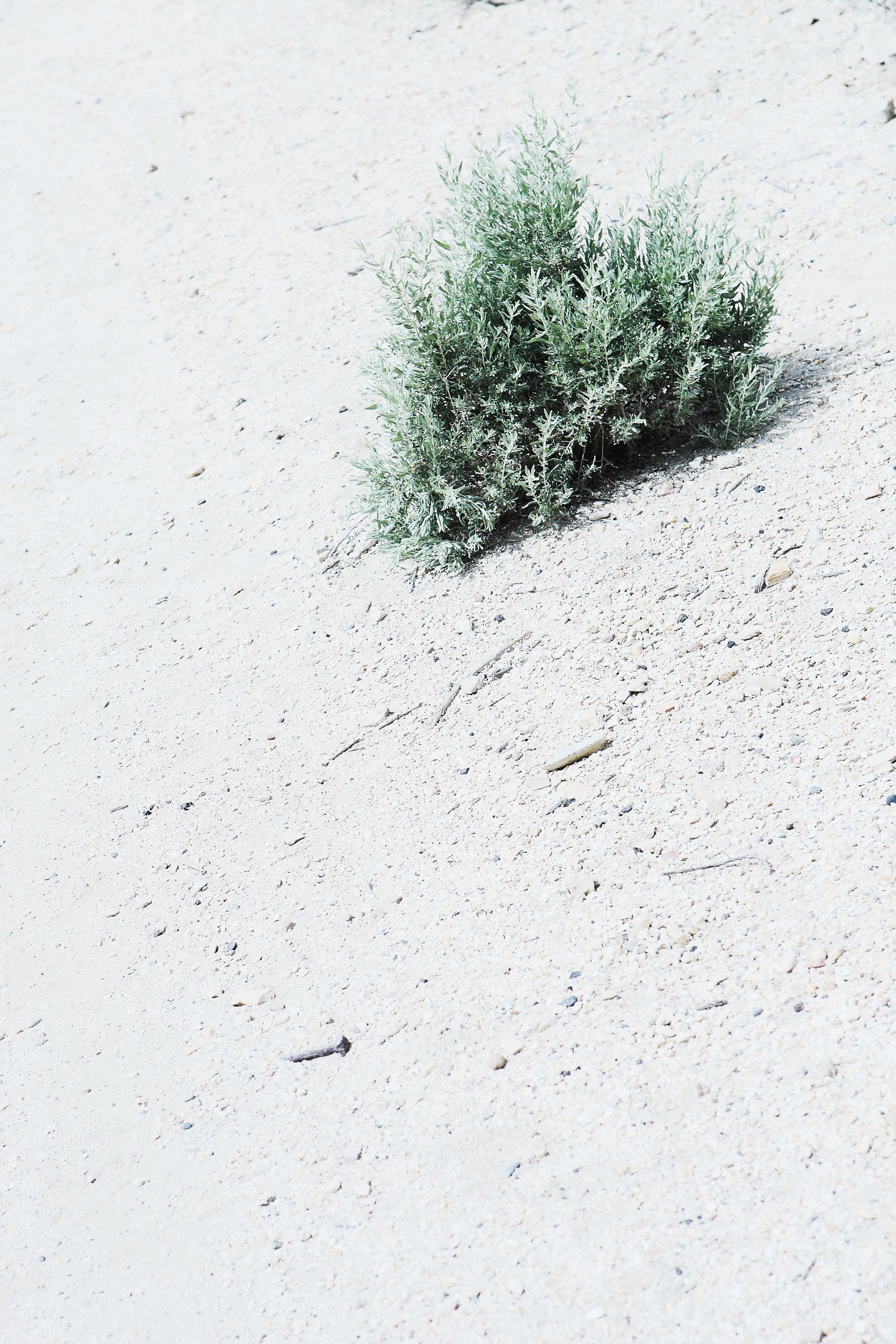 SF-No.487 Aki Hoshino ほしのあき/星野亚纪-图19