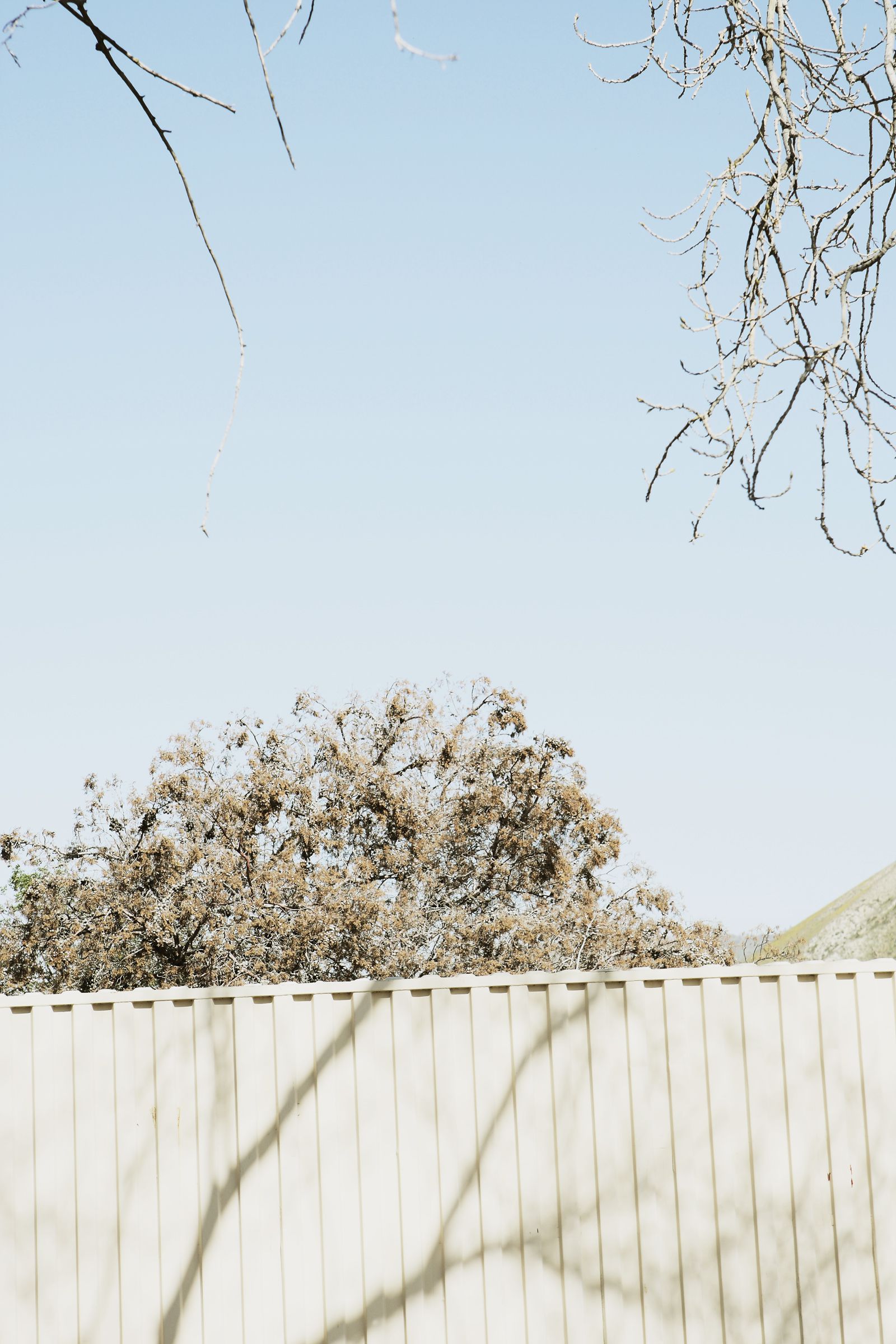 SF-No.487 Aki Hoshino ほしのあき/星野亚纪-图27