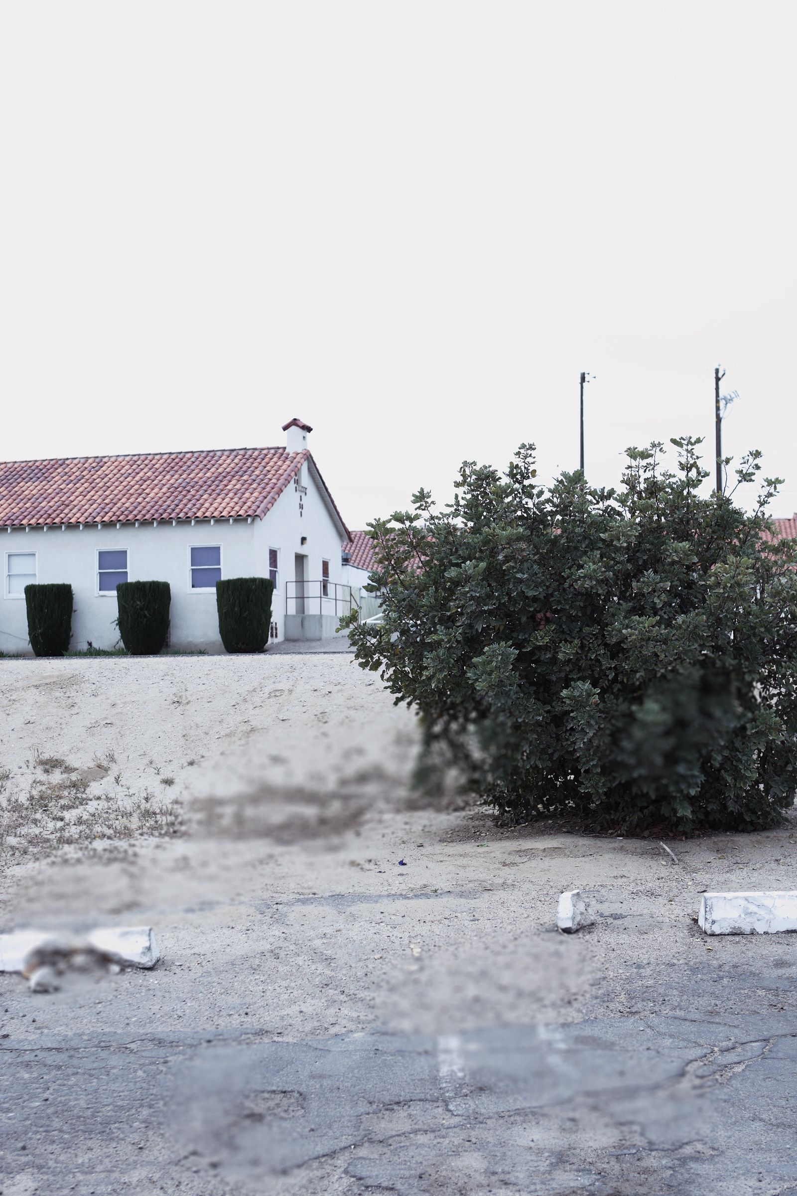 SF-No.487 Aki Hoshino ほしのあき/星野亚纪-图2