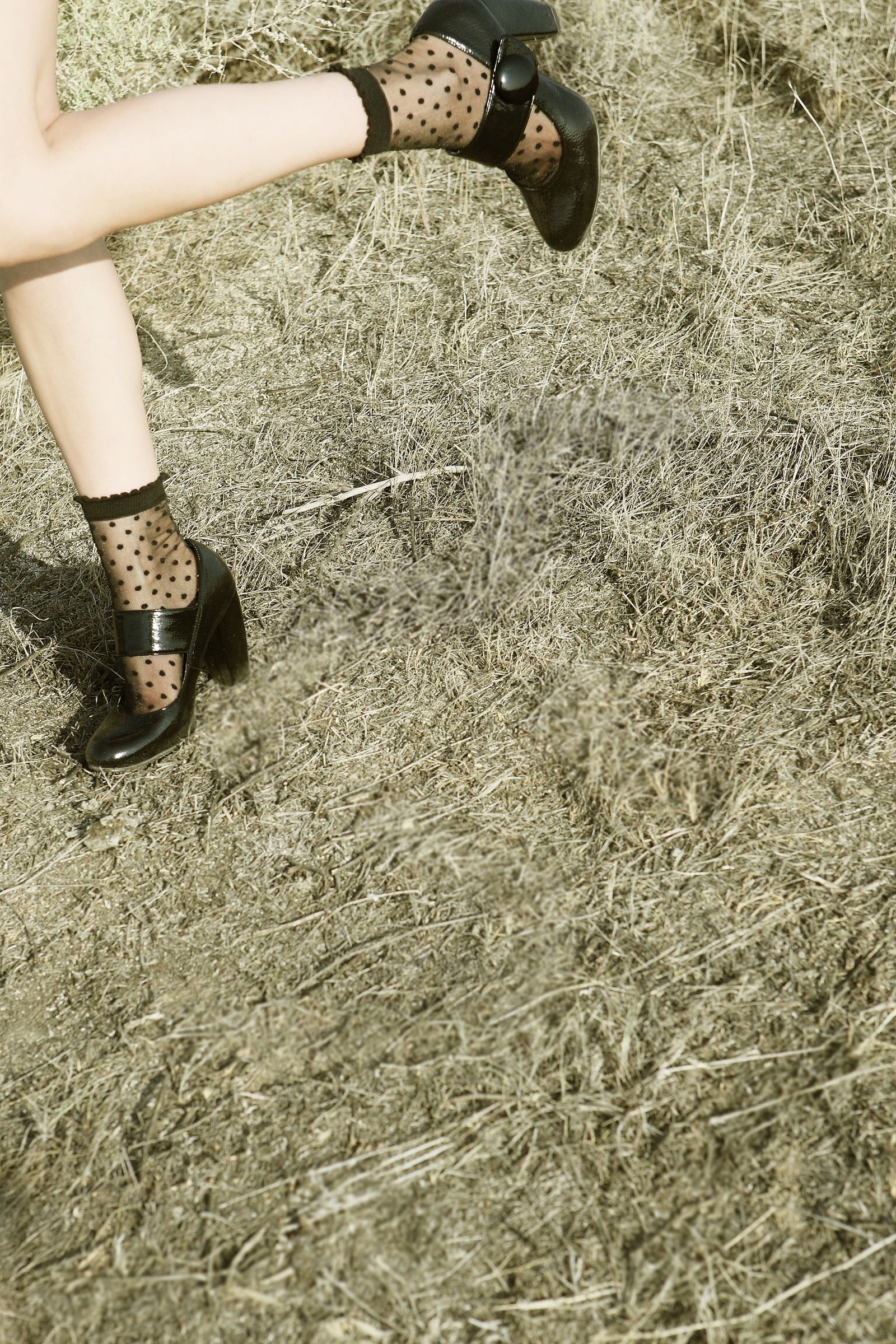 SF-No.487 Aki Hoshino ほしのあき/星野亚纪-图32