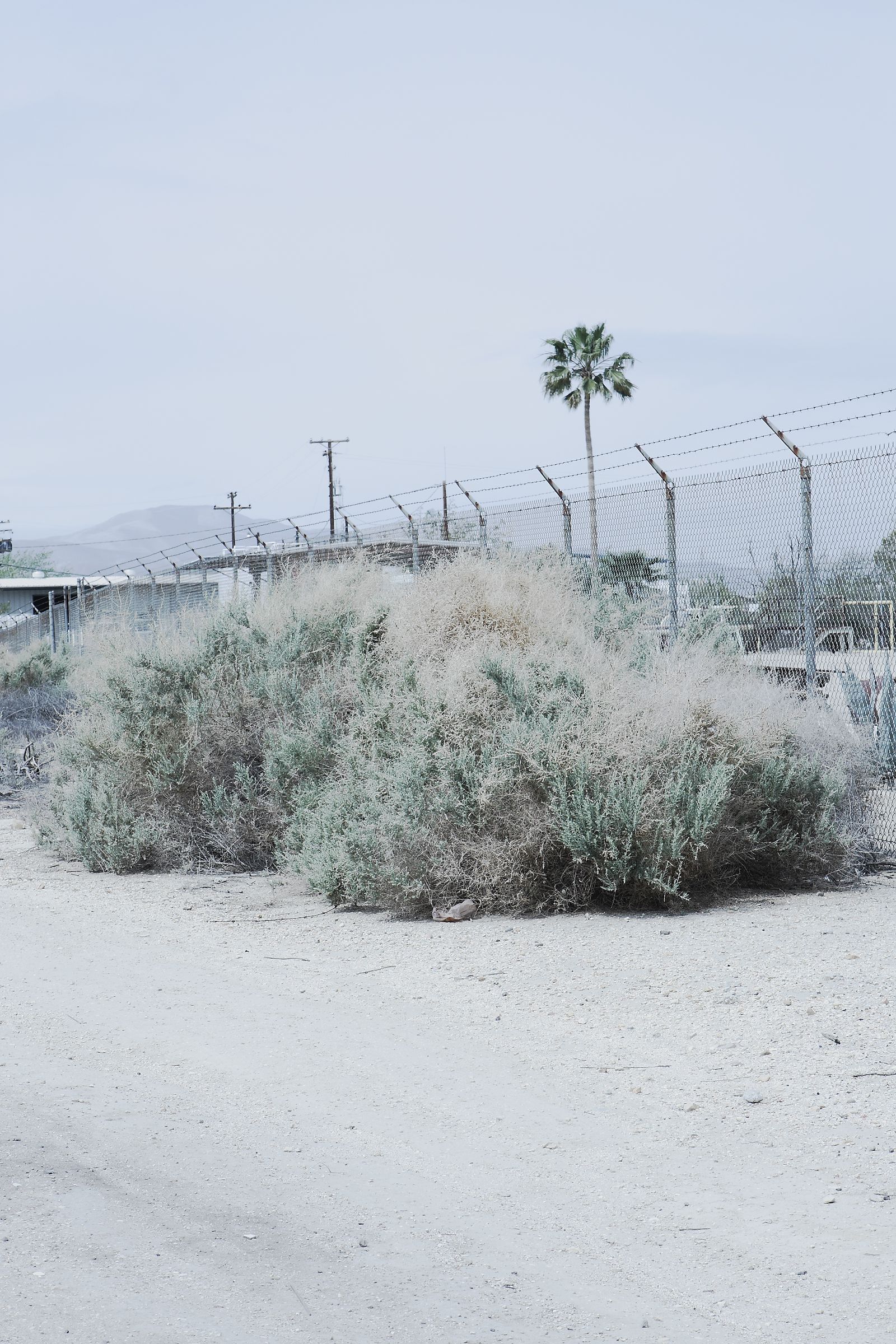 SF-No.487 Aki Hoshino ほしのあき/星野亚纪-图7