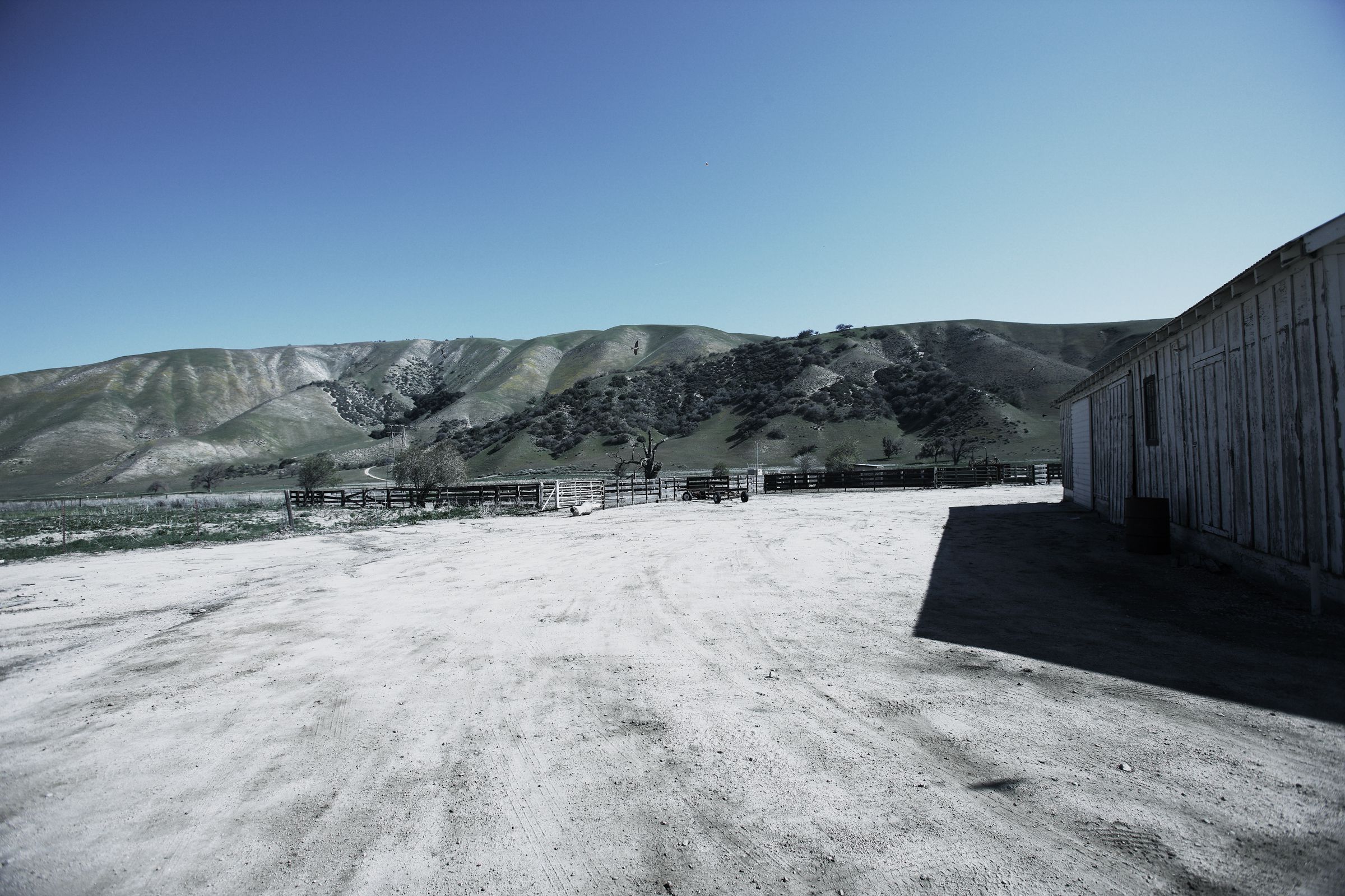 SF-No.488 星野亚希/ほしのあき Aki Hoshino-图20