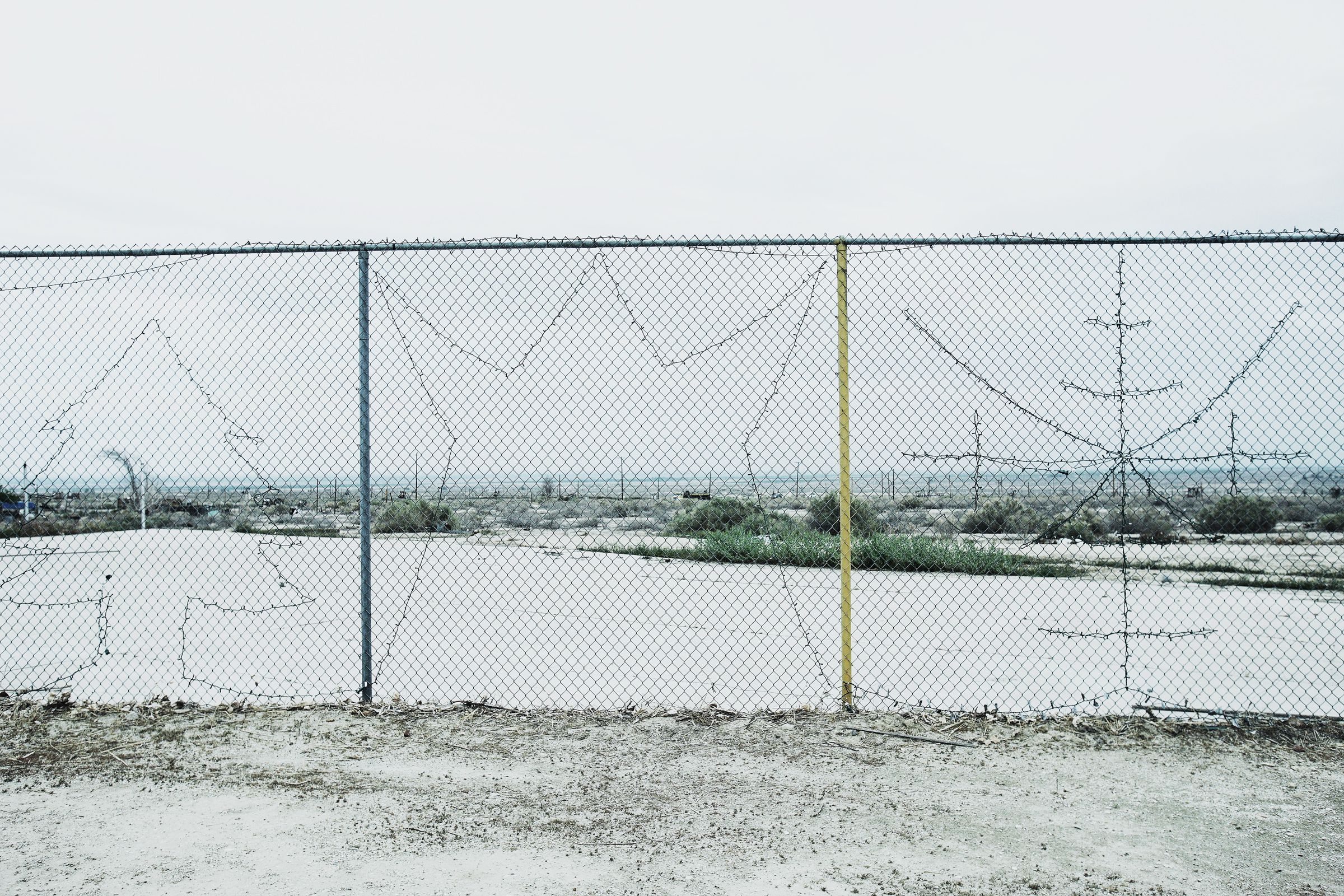 SF-No.488 星野亚希/ほしのあき Aki Hoshino-图23