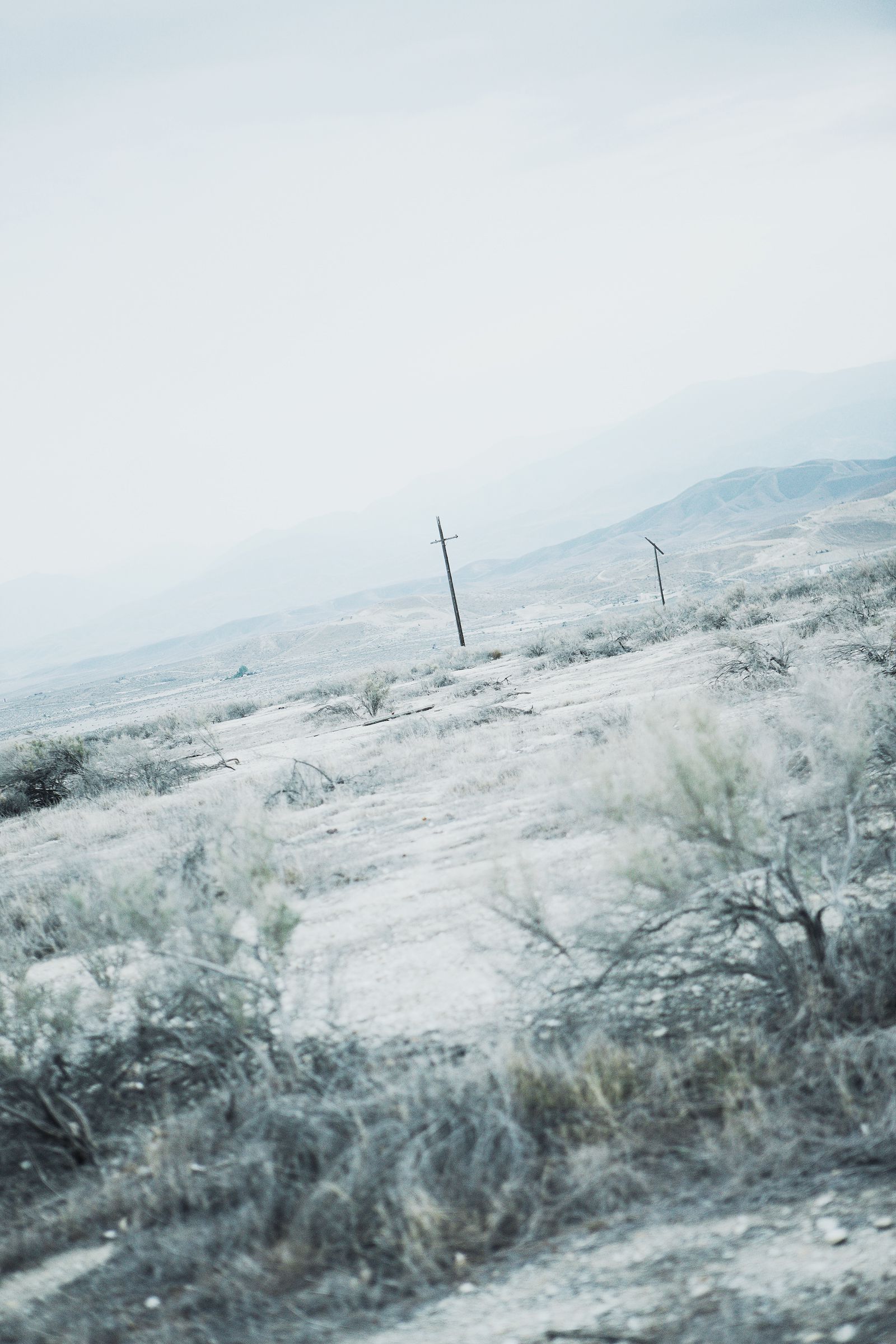 SF-No.488 星野亚希/ほしのあき Aki Hoshino-图26