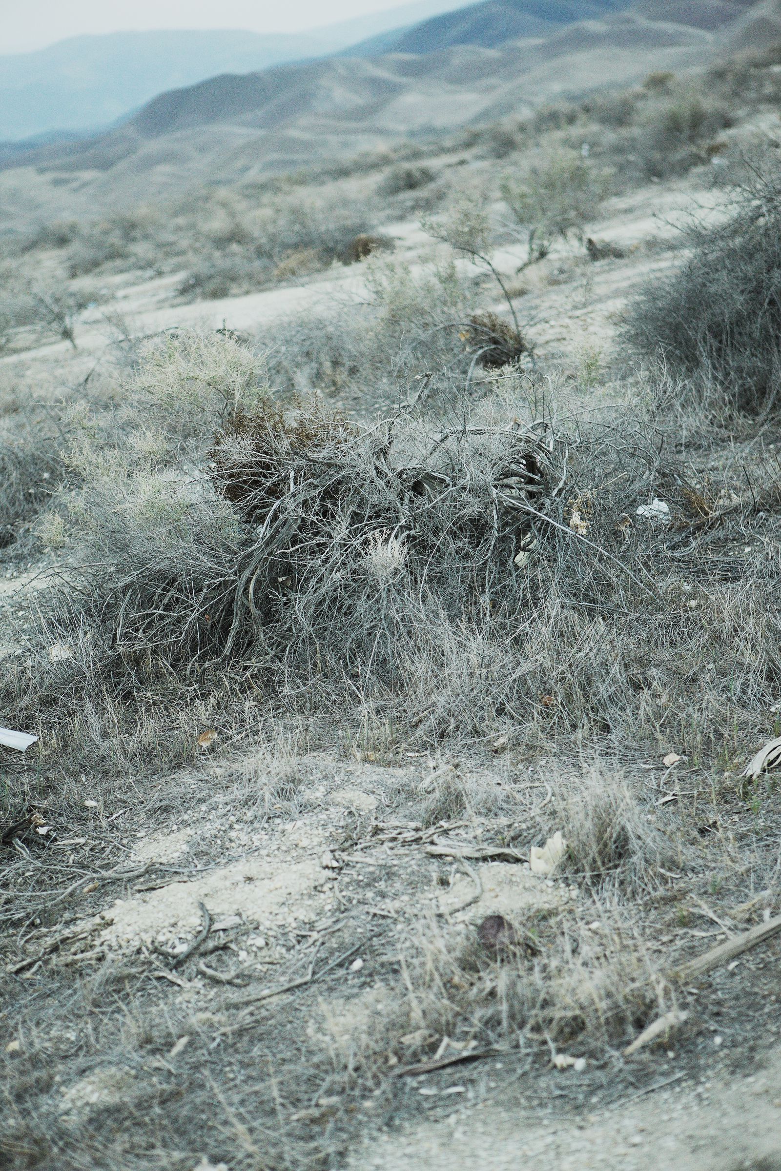 SF-No.488 星野亚希/ほしのあき Aki Hoshino-图28