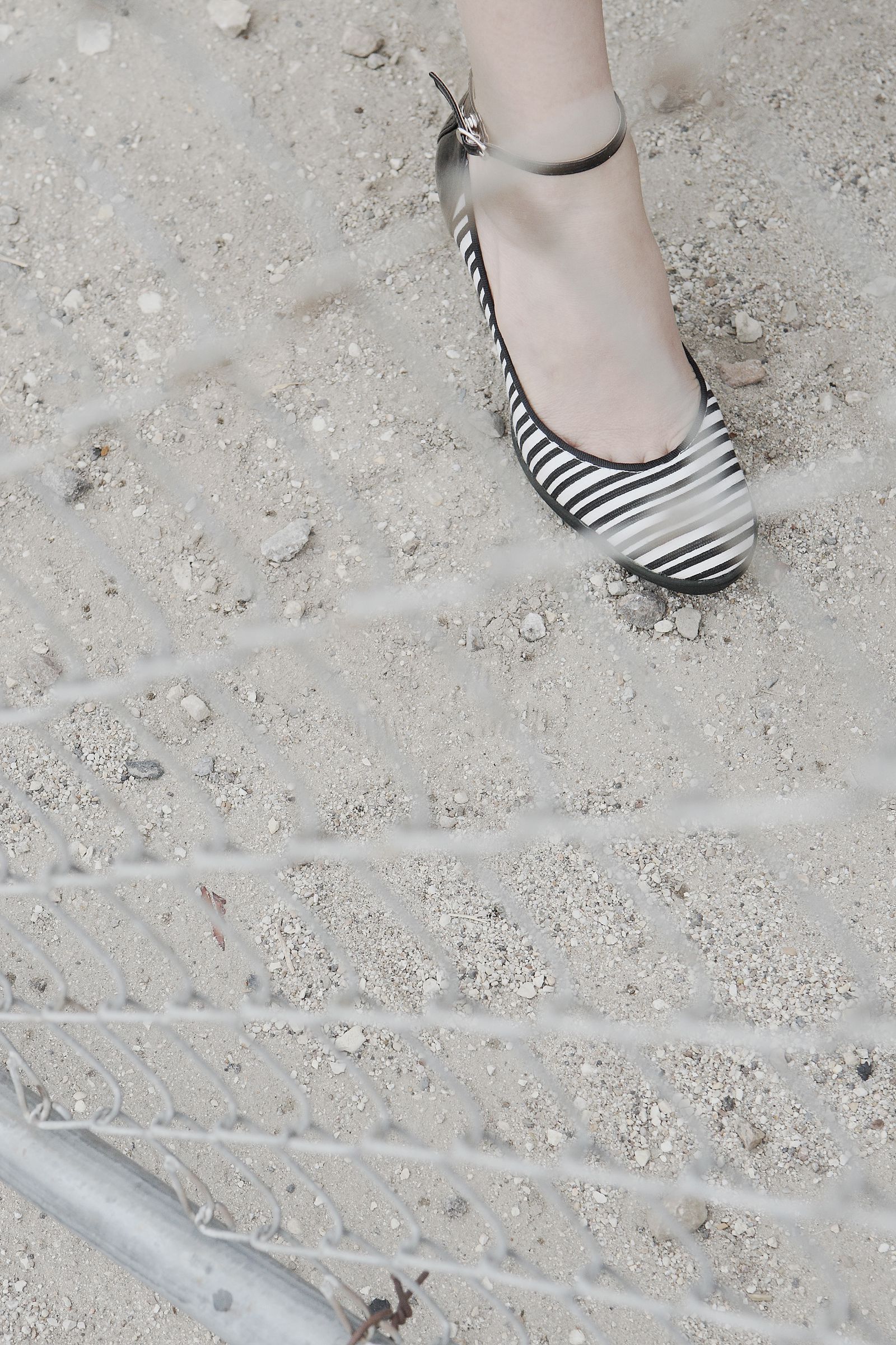 SF-No.488 星野亚希/ほしのあき Aki Hoshino-图5