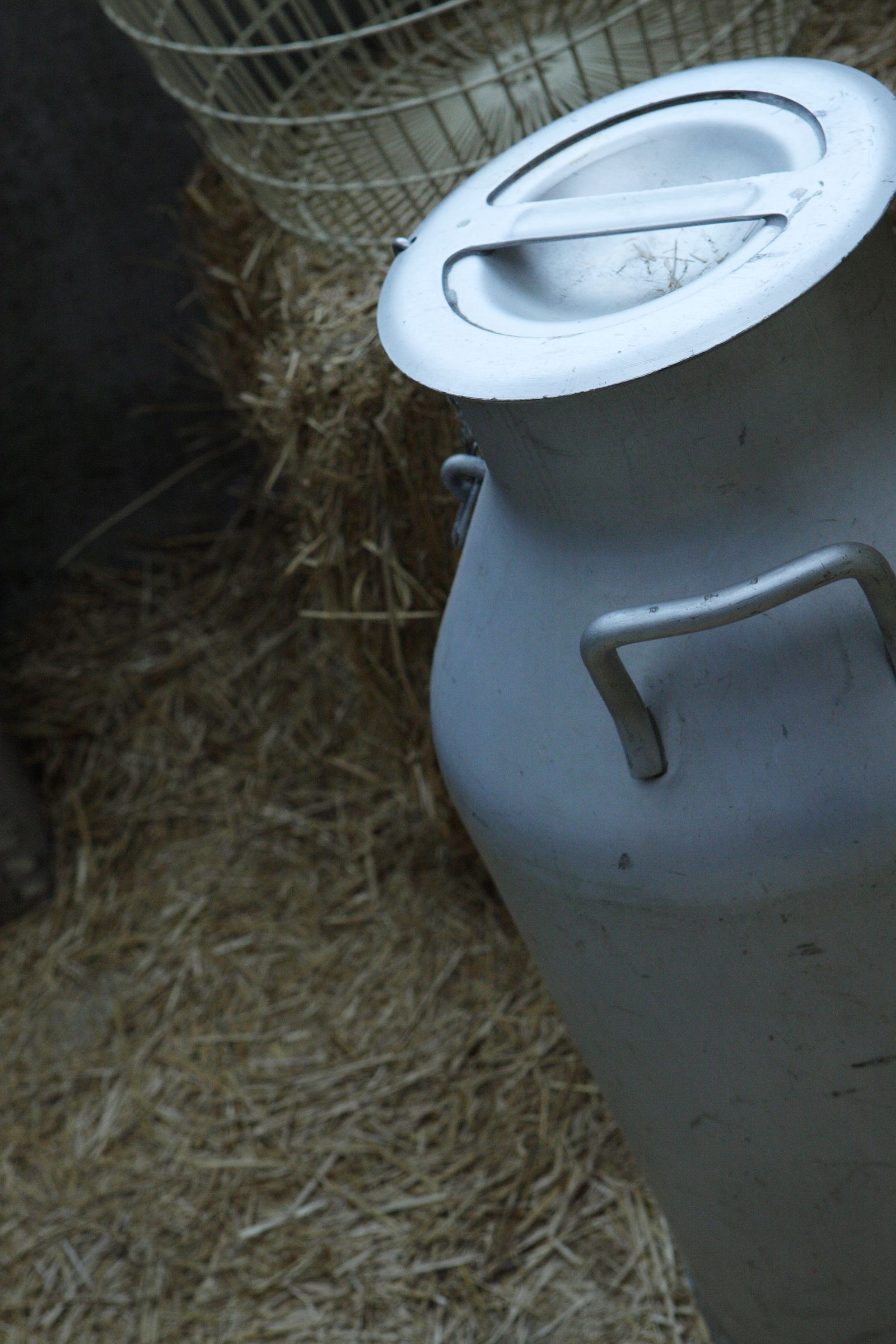 SF-No.489 Natsumi Yoshioka 吉岡奈都美/吉冈奈都美-图26