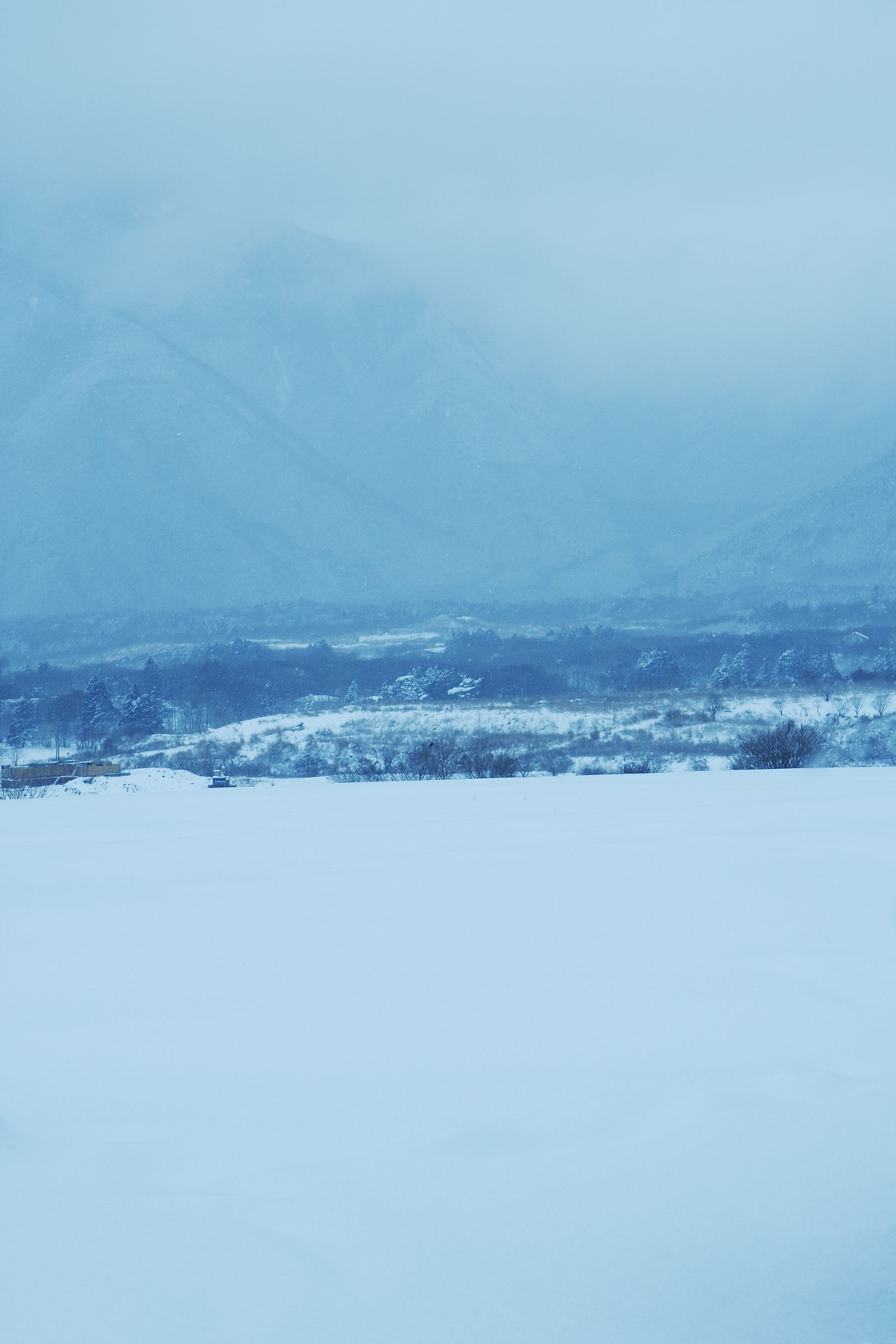 SF-No.490 Natsumi Yoshioka 吉岡奈都美-图23