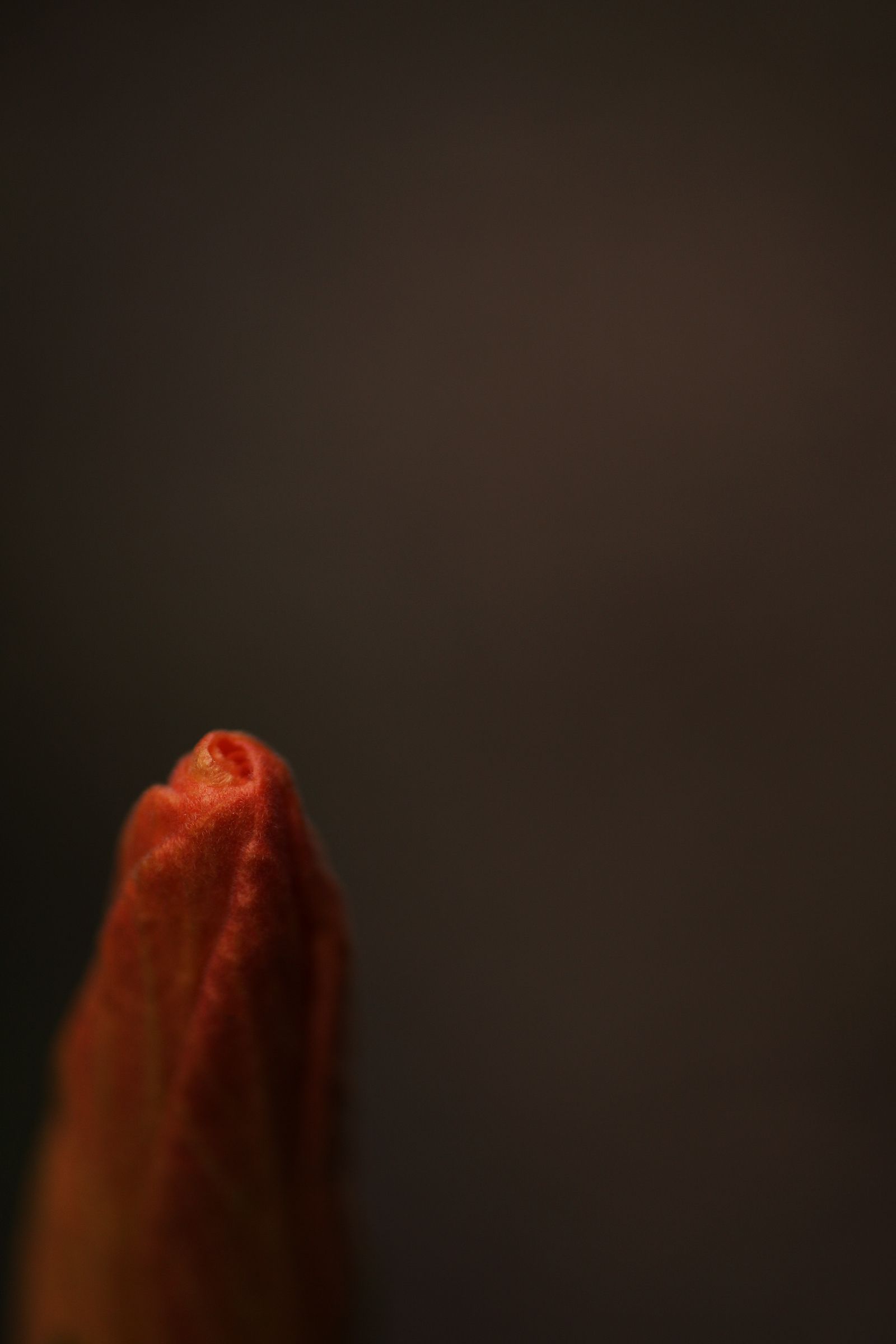 SF-No.492 Minase Yashiro 八代みなせ/八代水濑-图10