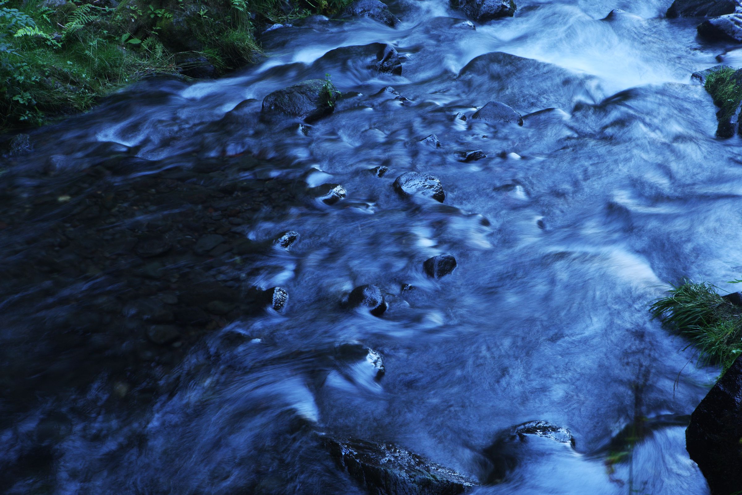 SF-No.494 Wakako Shimazaki 岛崎和歌子/島崎和歌子-图7