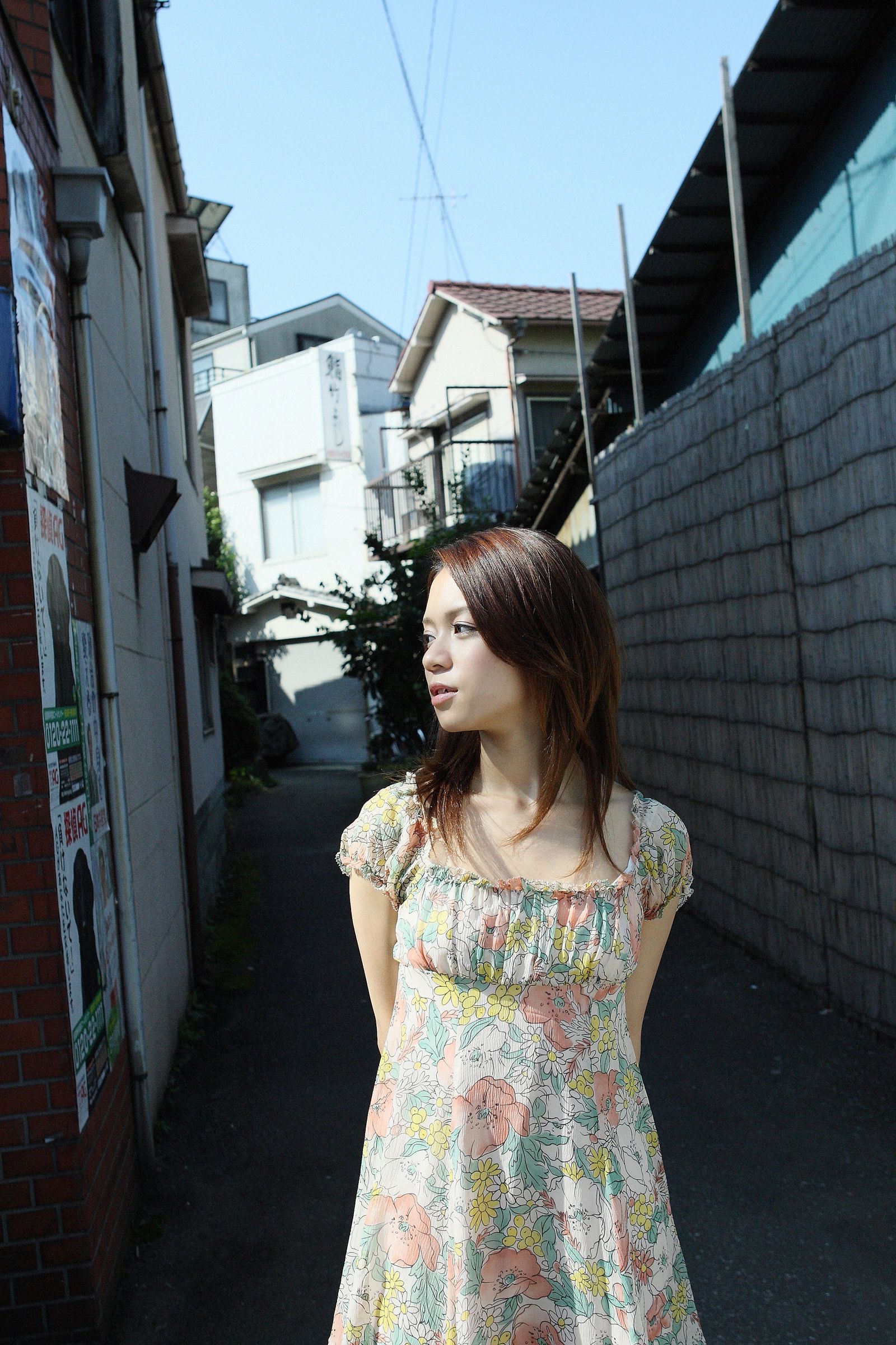 SF-No.503 Sherry Fujii 藤井雪莉/藤井シェリー-图0