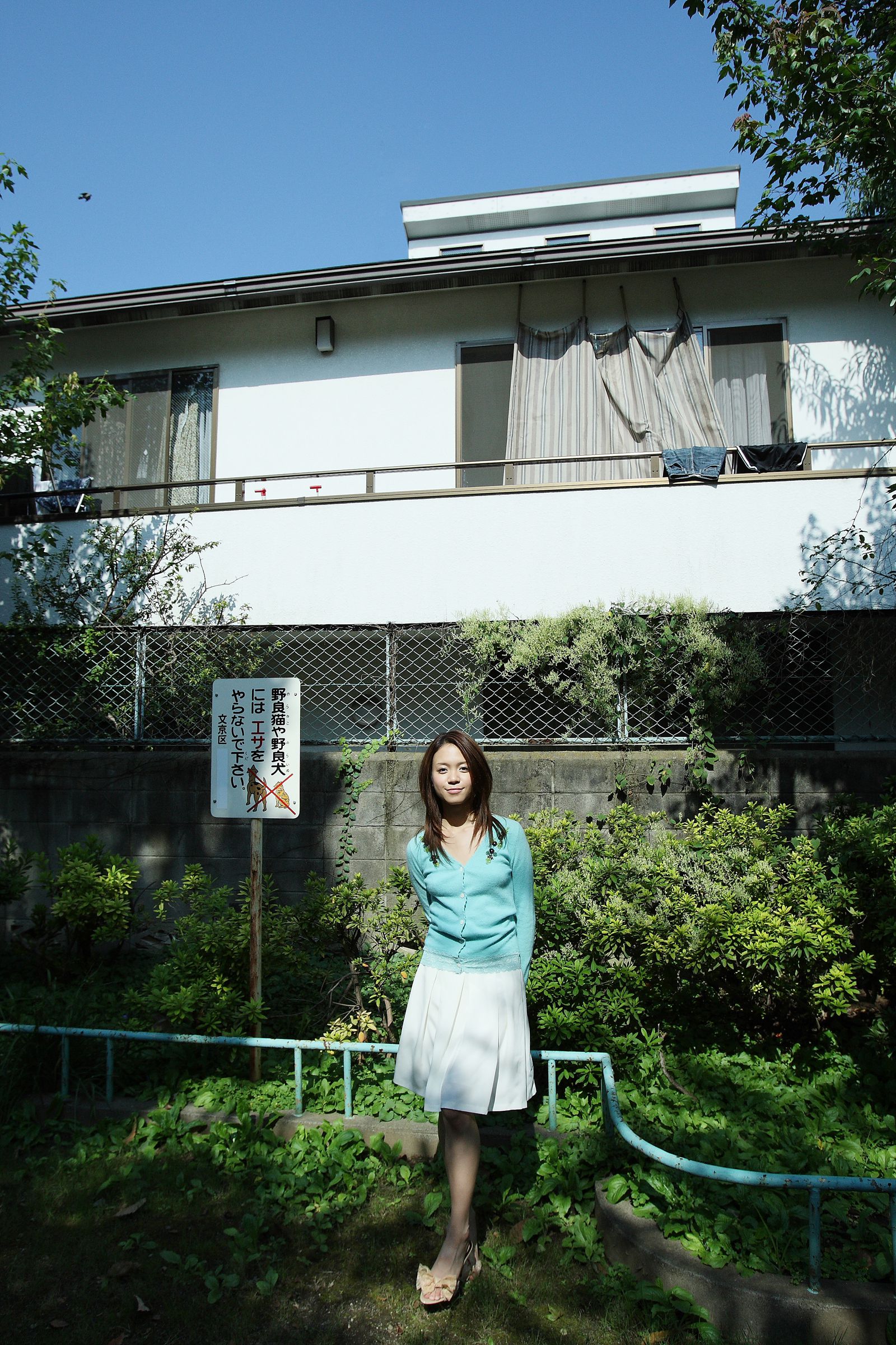 SF-No.503 Sherry Fujii 藤井雪莉/藤井シェリー-图15