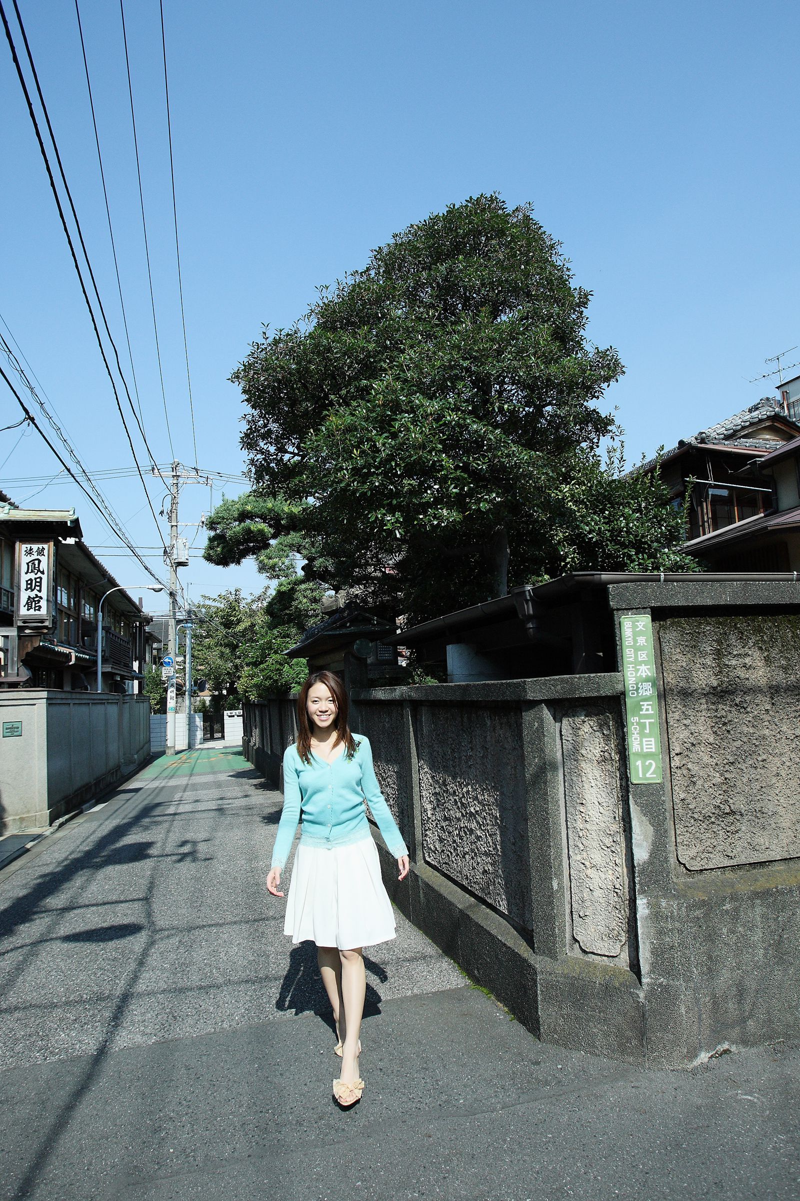 SF-No.503 Sherry Fujii 藤井雪莉/藤井シェリー-图20