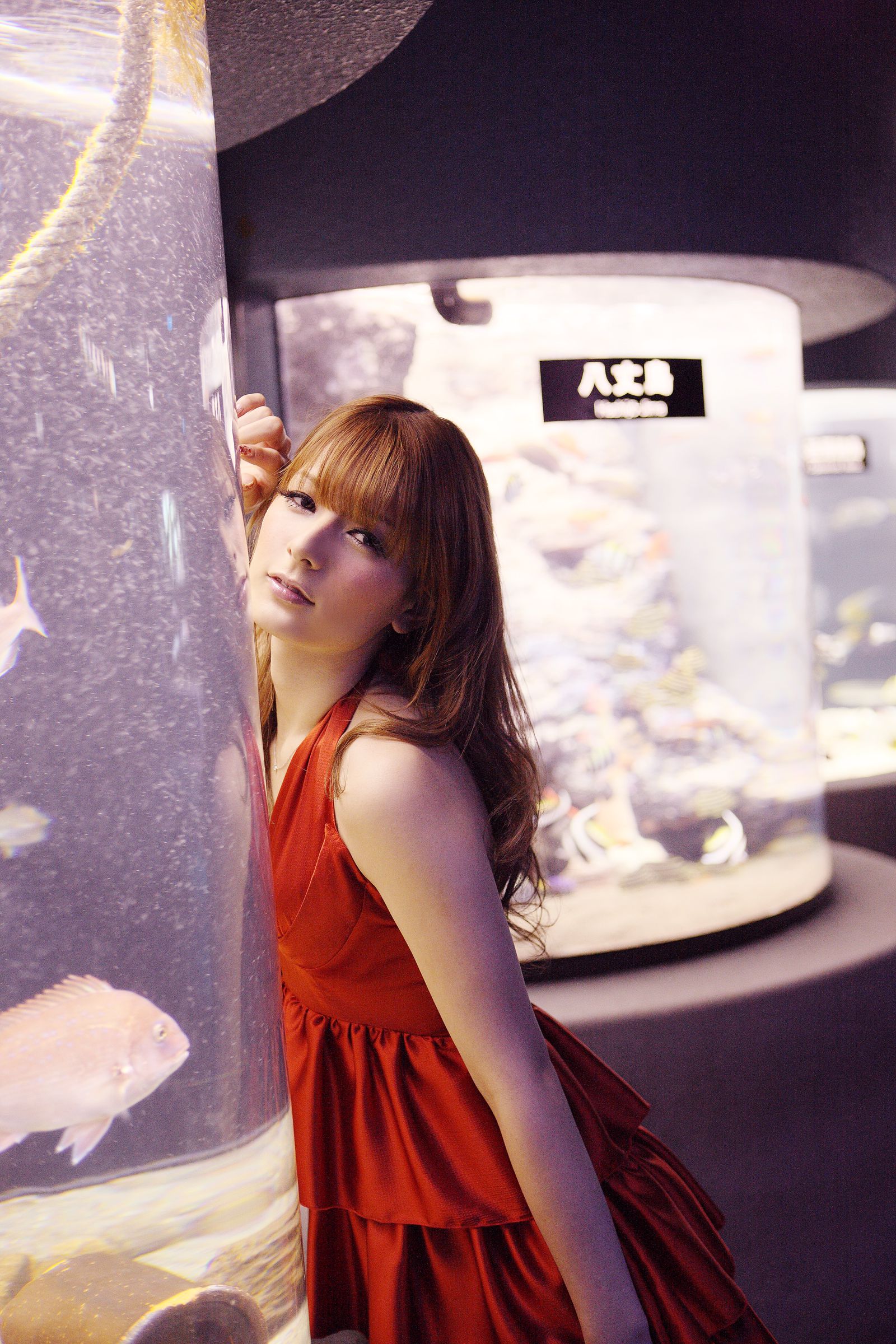 SF-No.504 Suzanne 山本纱衣/スザンヌ-图8