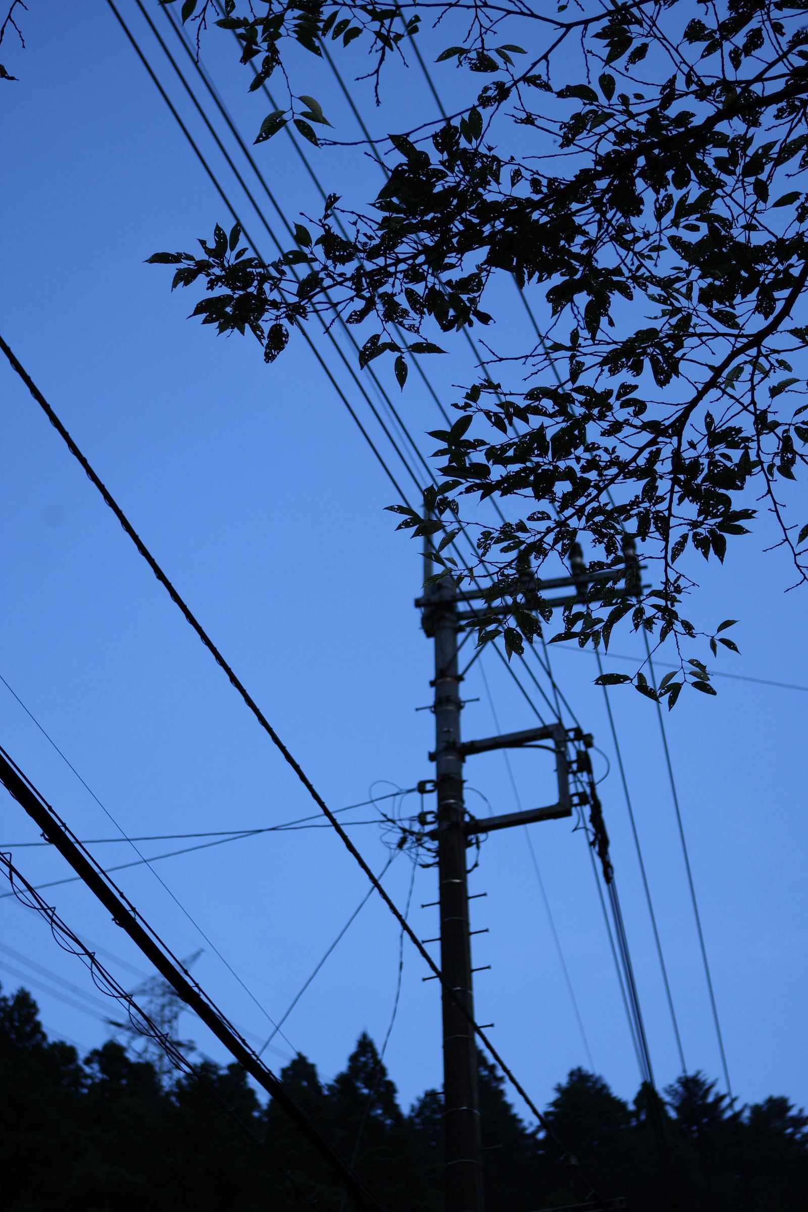 SF-No.507 Emika Sagesaka 提坂笑加-图2