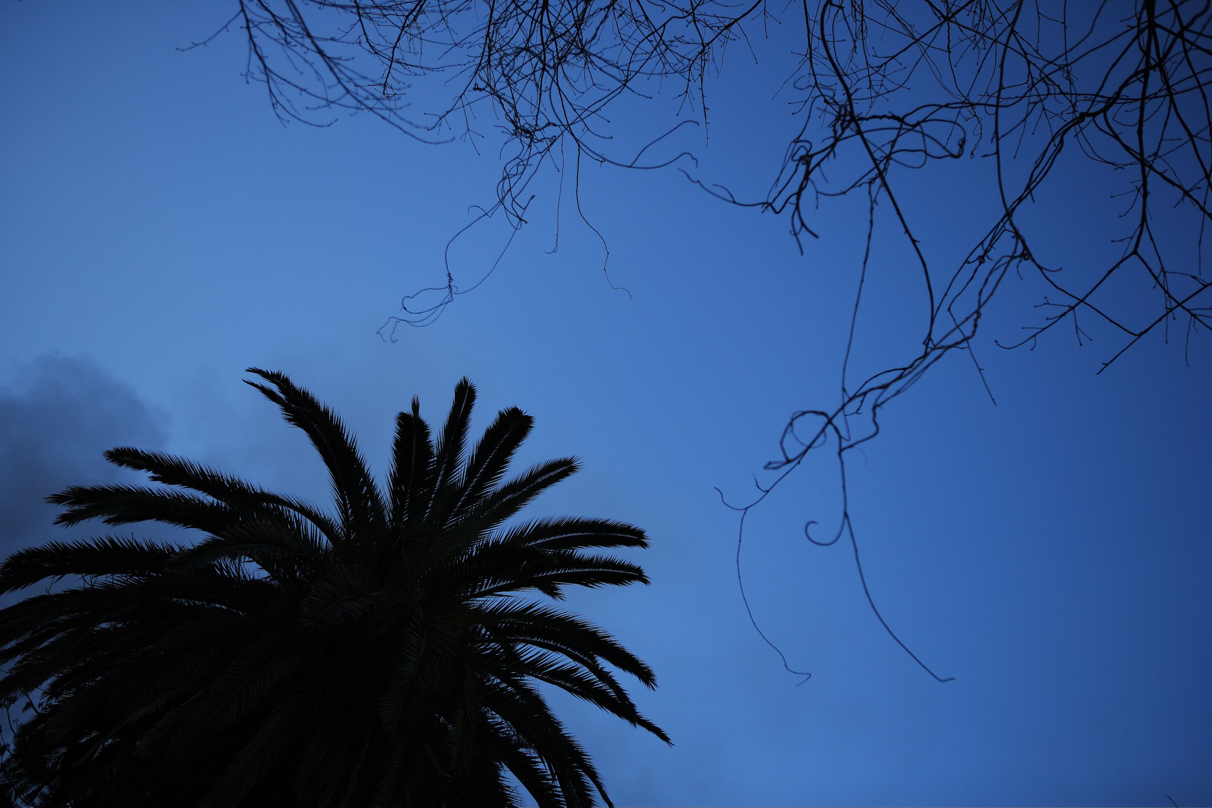 SF-No.509 Yoko Matsugane 松金ようこ-图7