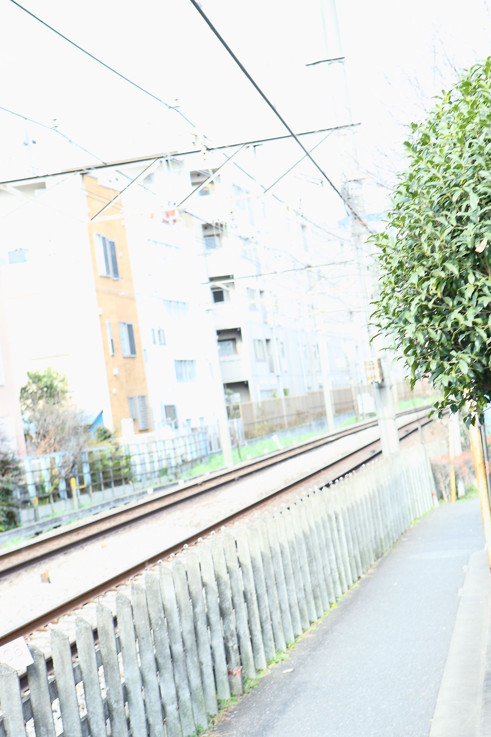 SF-No.514 Maya Koizumi 小泉麻耶-图28