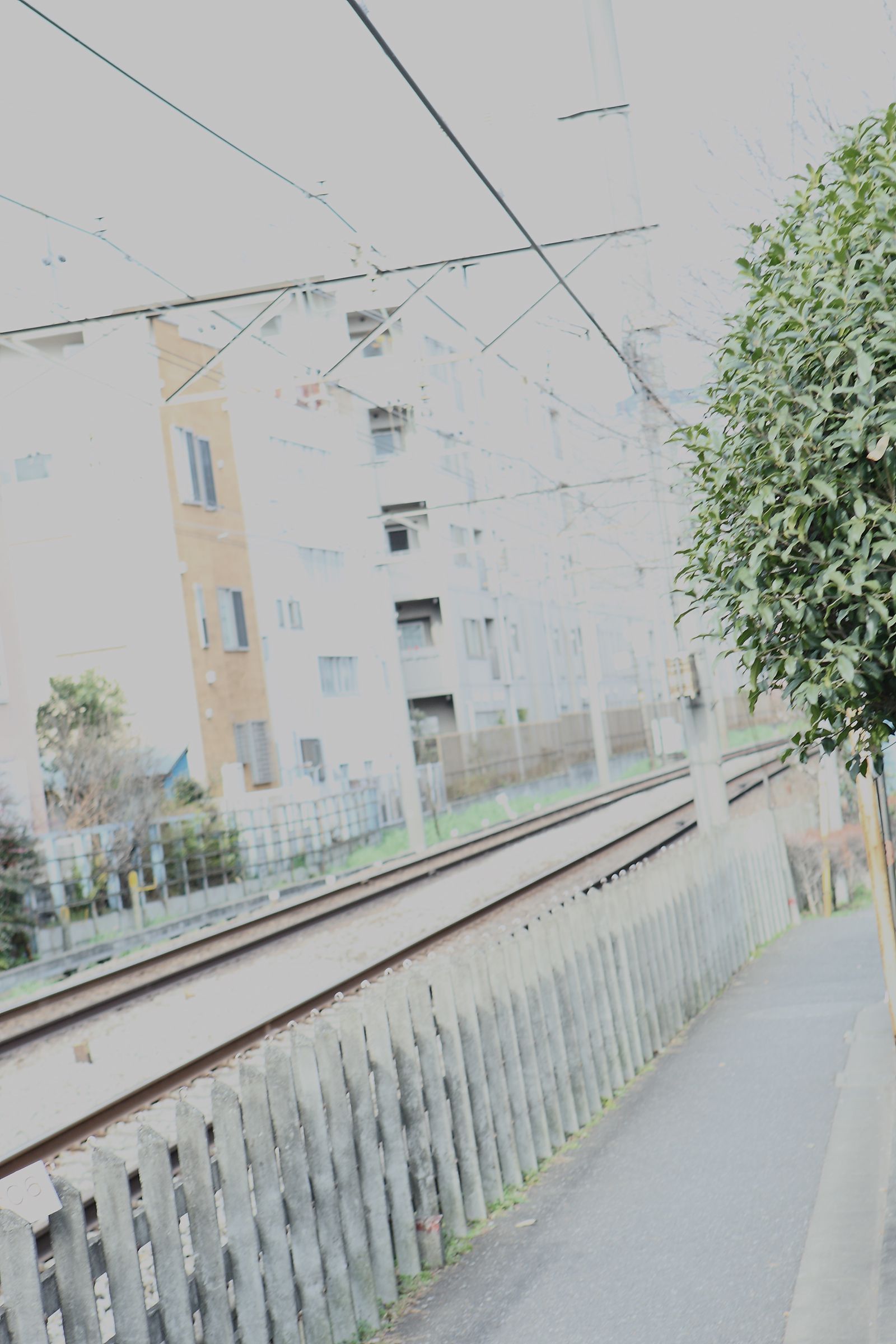 SF-No.514 Maya Koizumi 小泉麻耶-图29