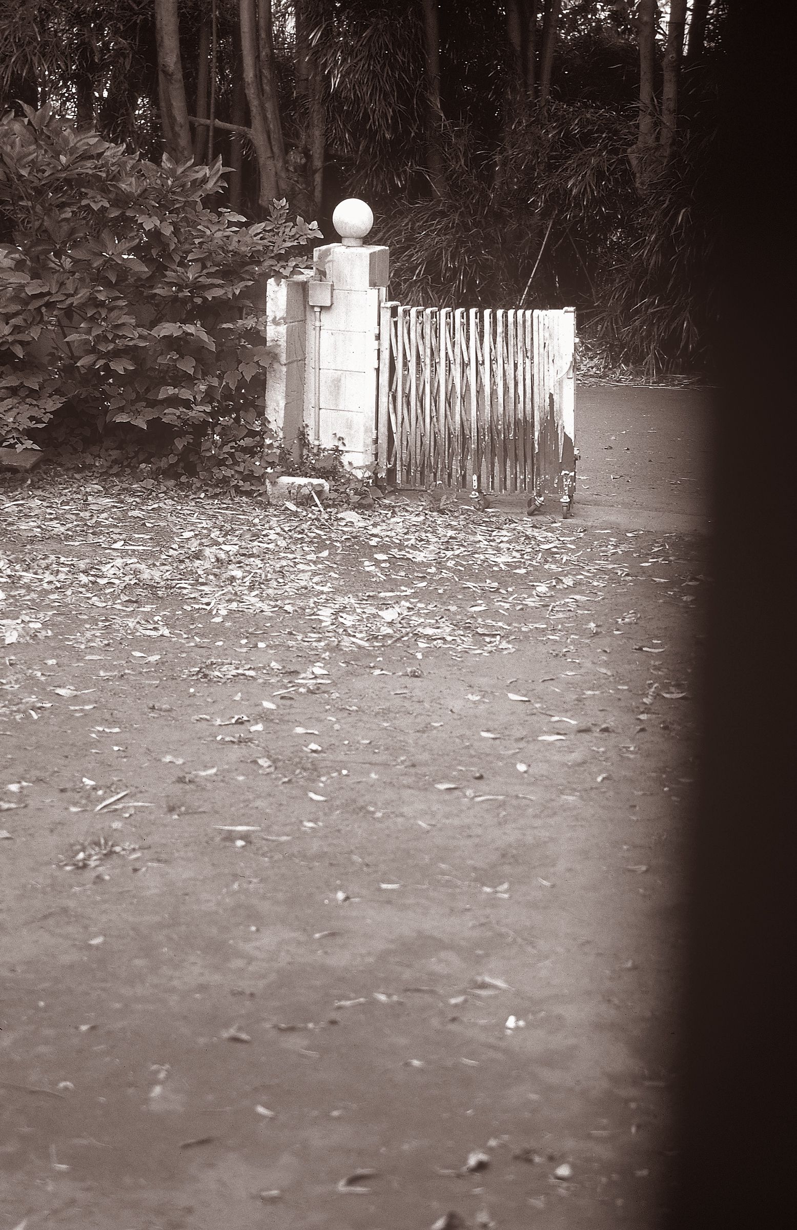 SF-No.522 Yoko Watanabe 渡辺洋香/渡边洋香-图1