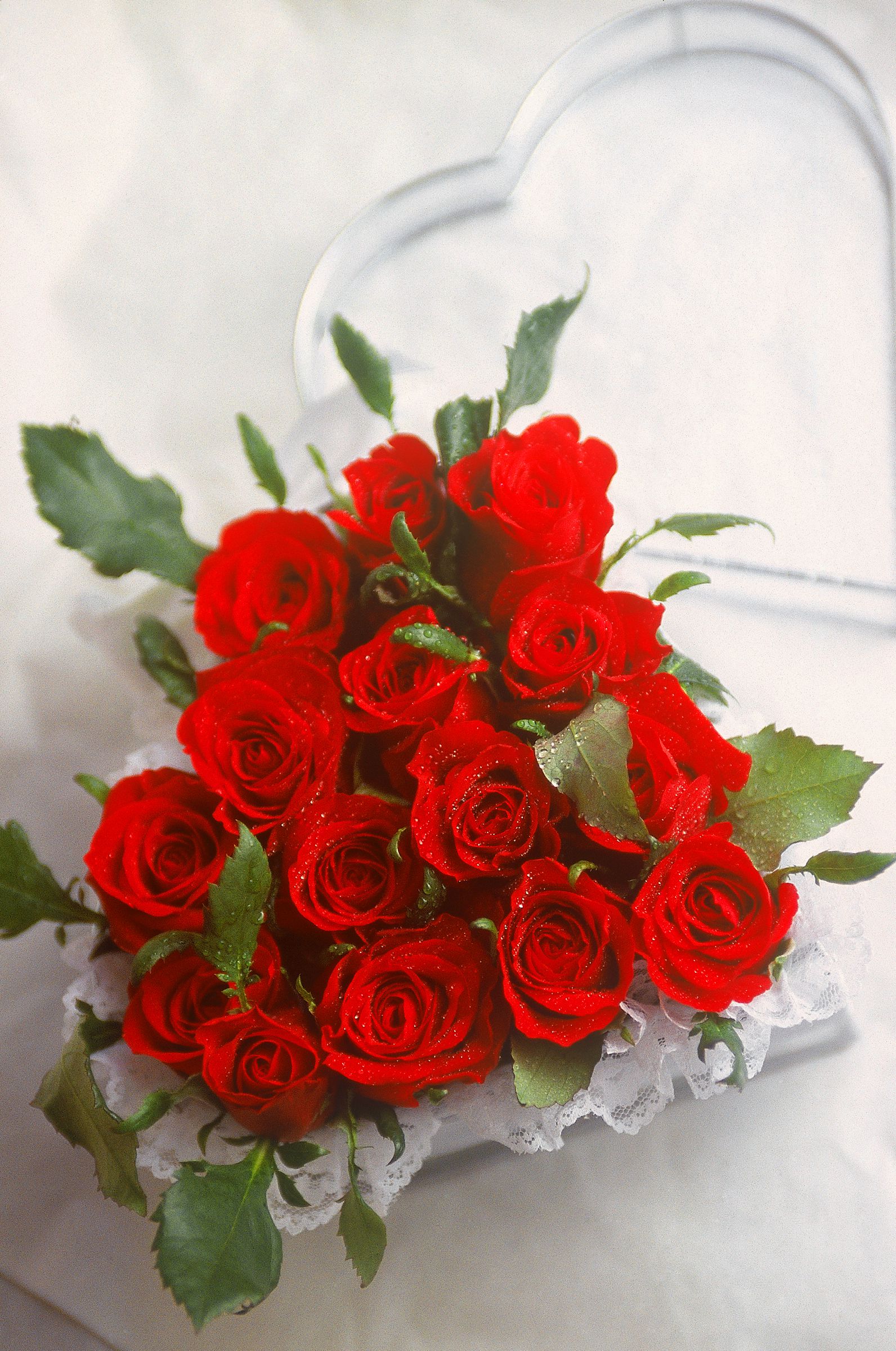 SF-No.522 Yoko Watanabe 渡辺洋香/渡边洋香-图25