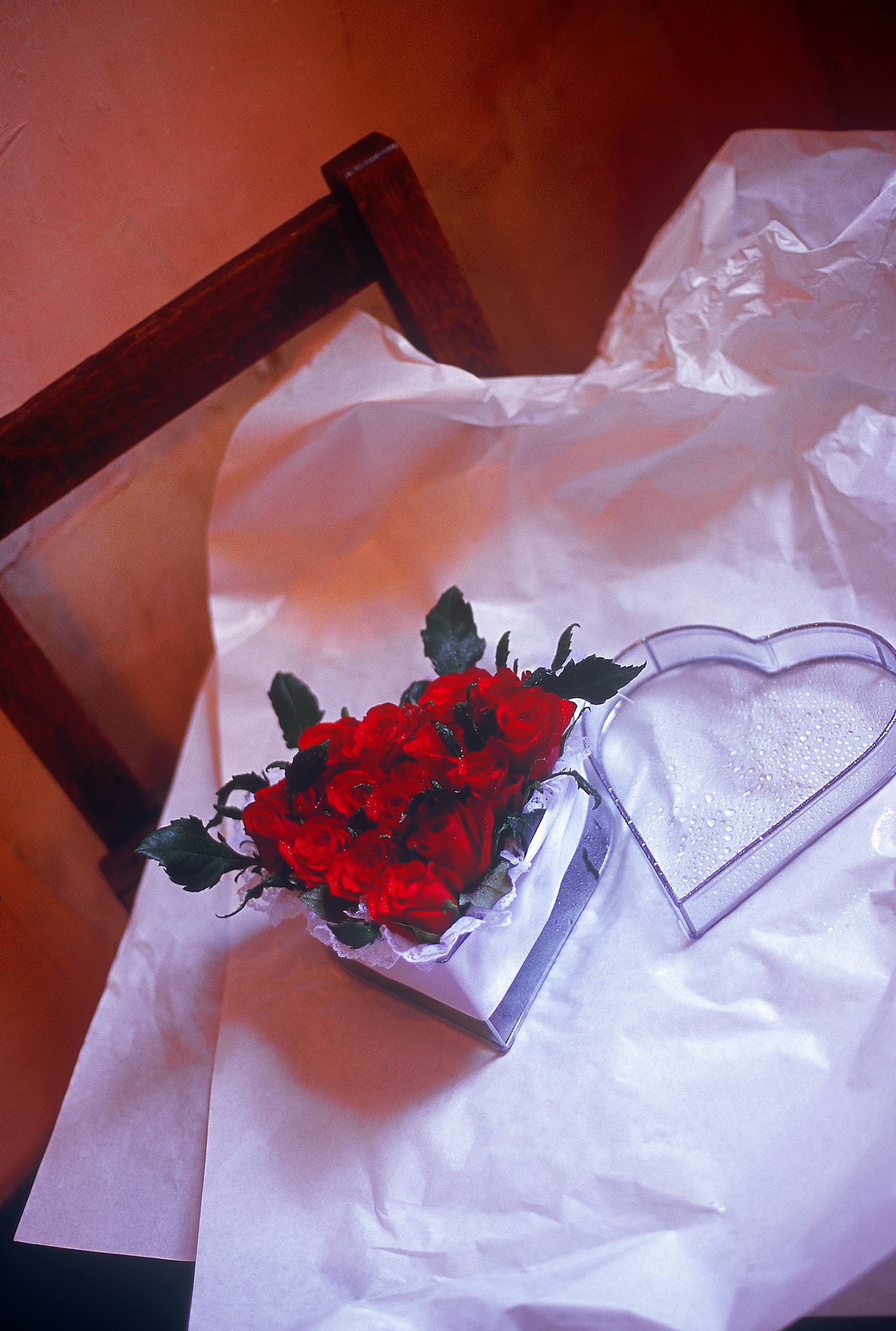 SF-No.522 Yoko Watanabe 渡辺洋香/渡边洋香-图28