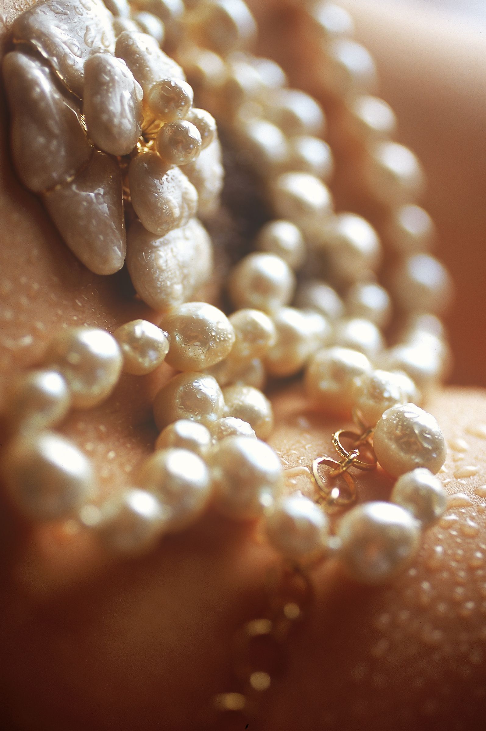 SF-No.523 Yoko Watanabe 渡辺洋香-图18