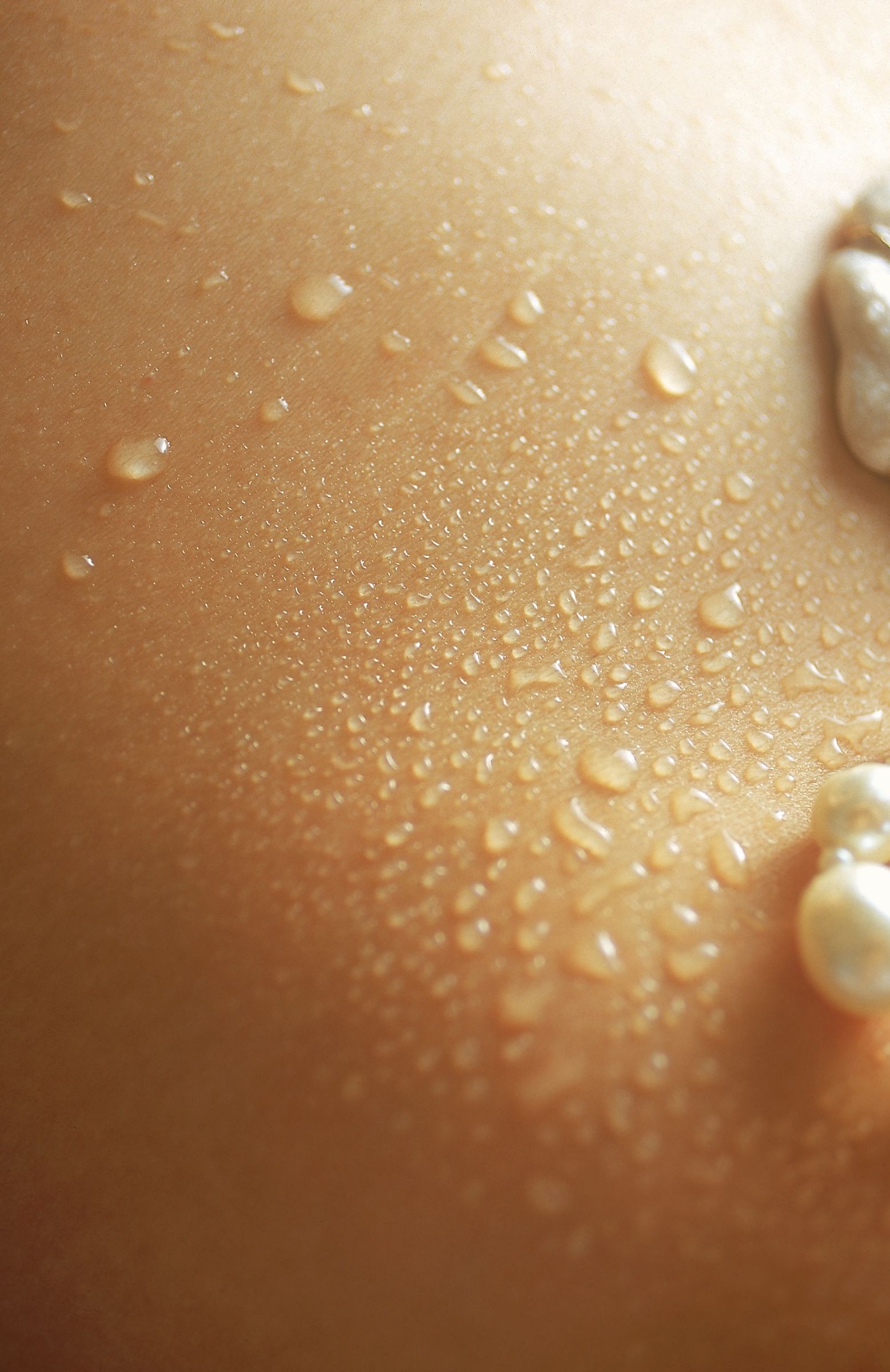 SF-No.523 Yoko Watanabe 渡辺洋香-图19