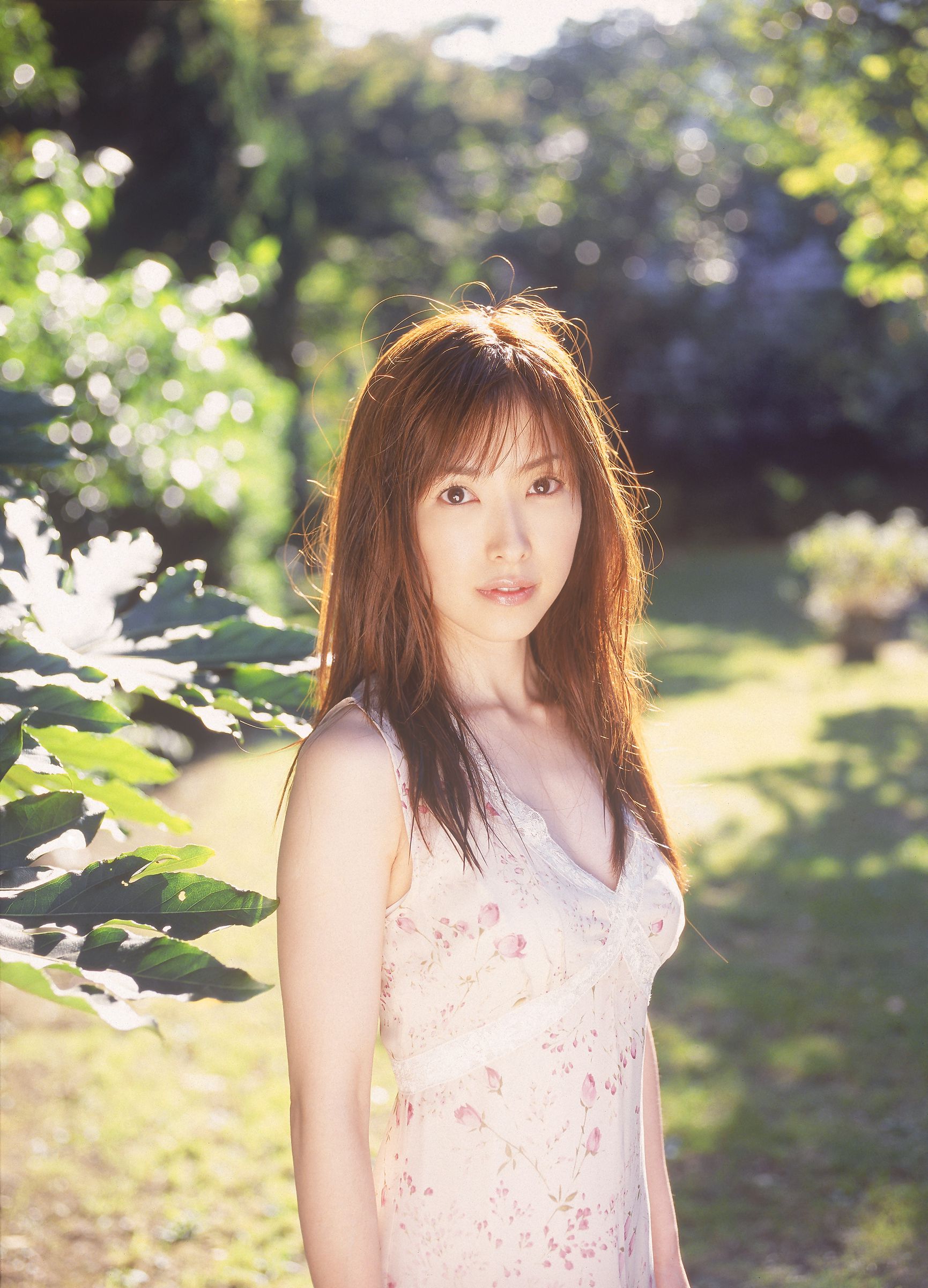 SF-No.524 Yoko Watanabe 渡边洋香/渡辺洋香-图21