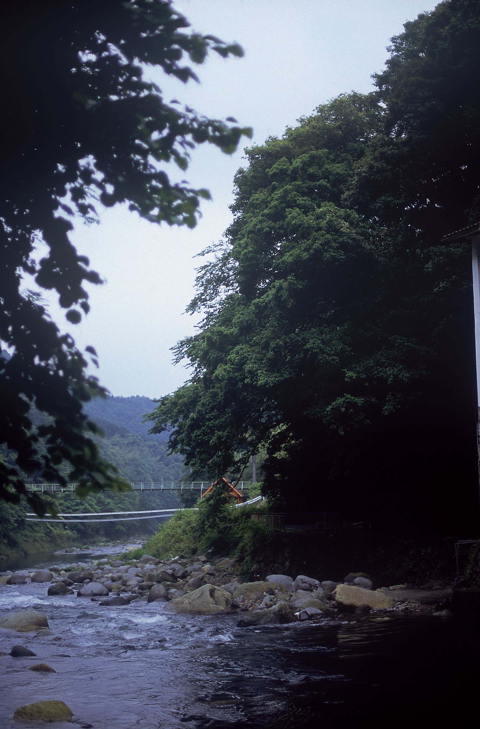 SF-No.525 渡辺洋香《Special Feature》-图13