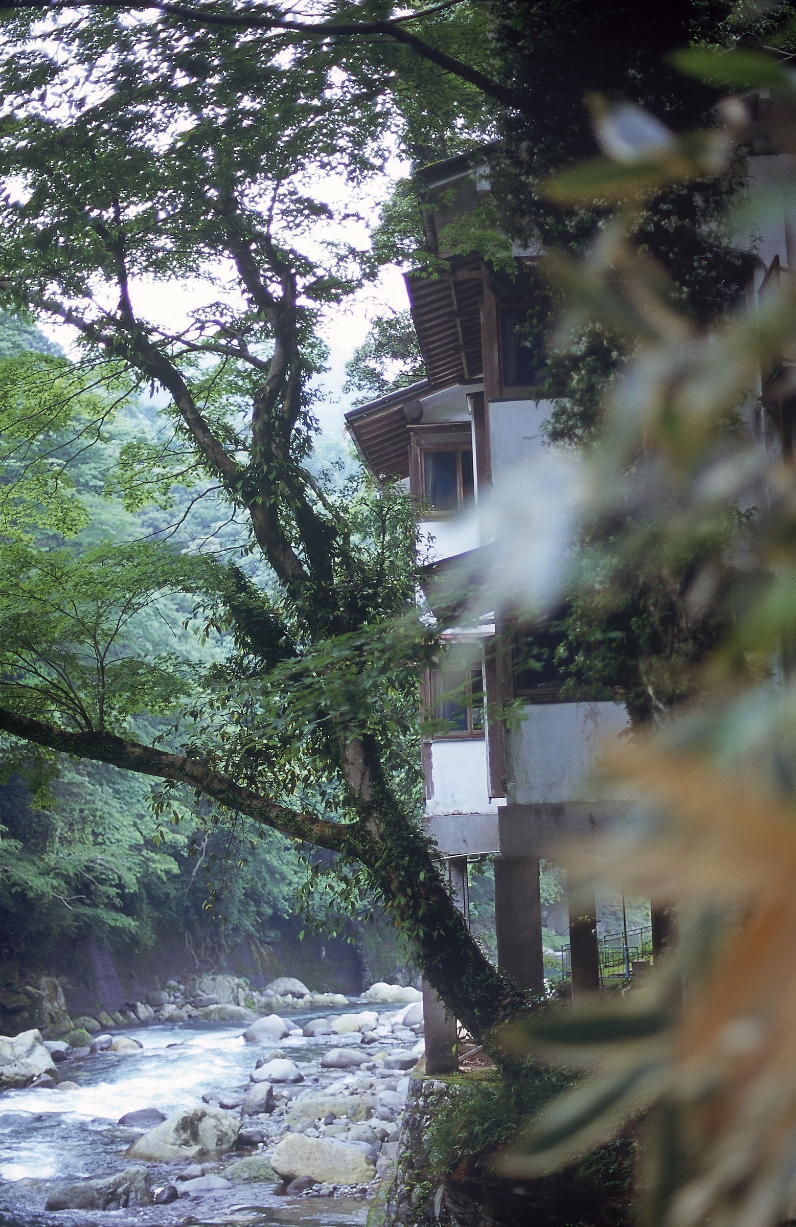 SF-No.525 渡辺洋香《Special Feature》-图16