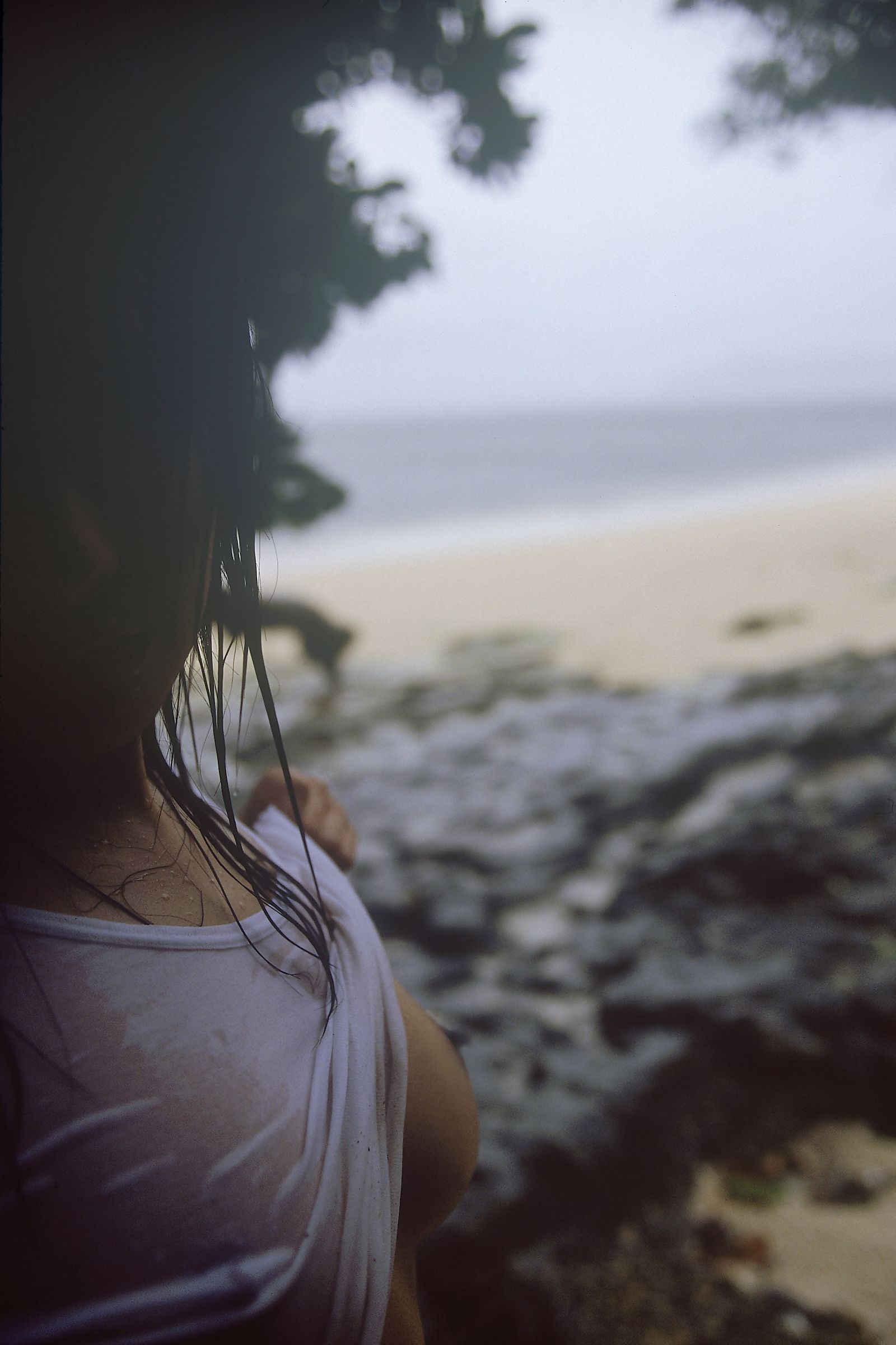 SF-No.529 Sora Aoi 蒼井そら/苍老师-图0