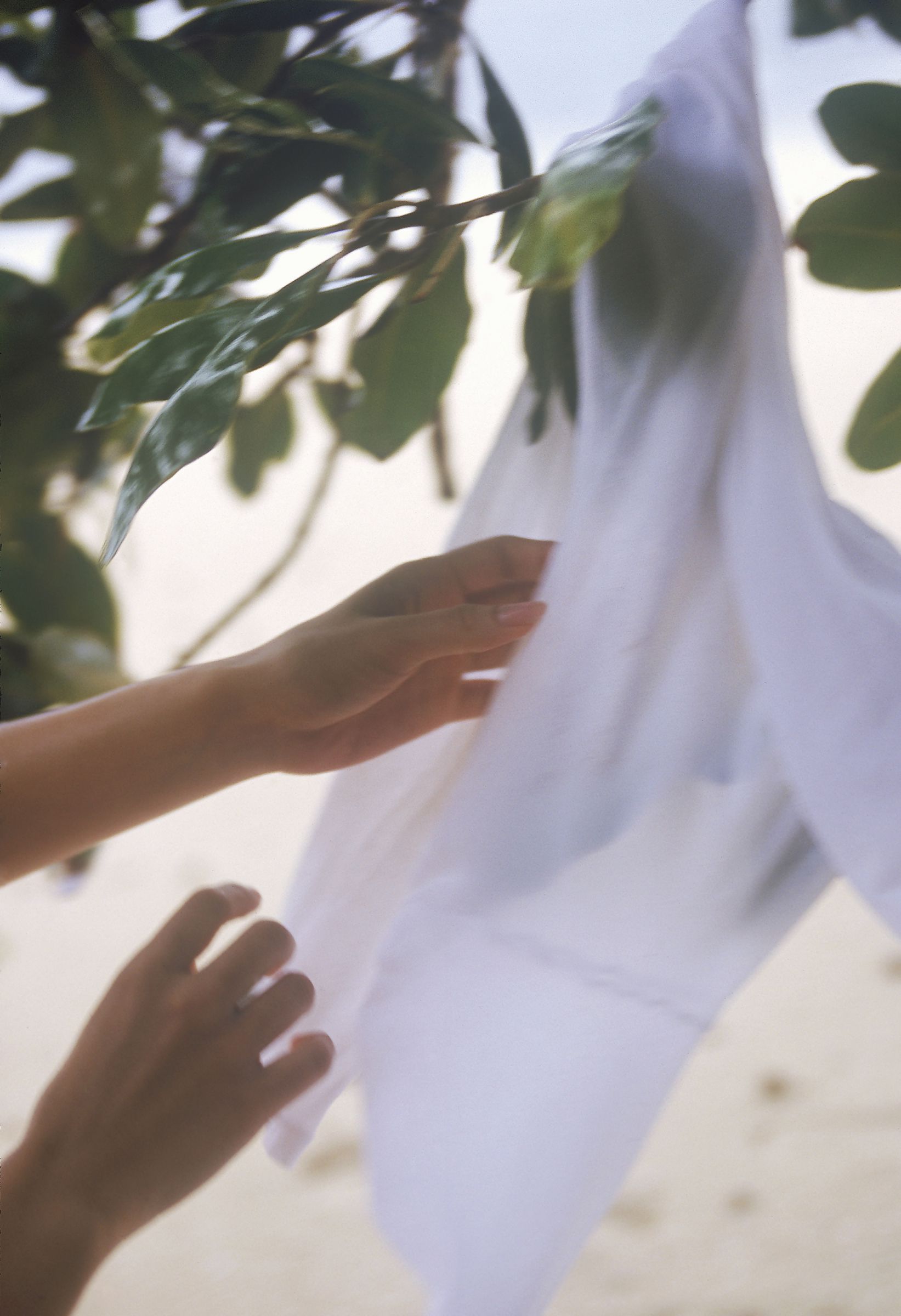 SF-No.529 Sora Aoi 蒼井そら/苍老师-图16