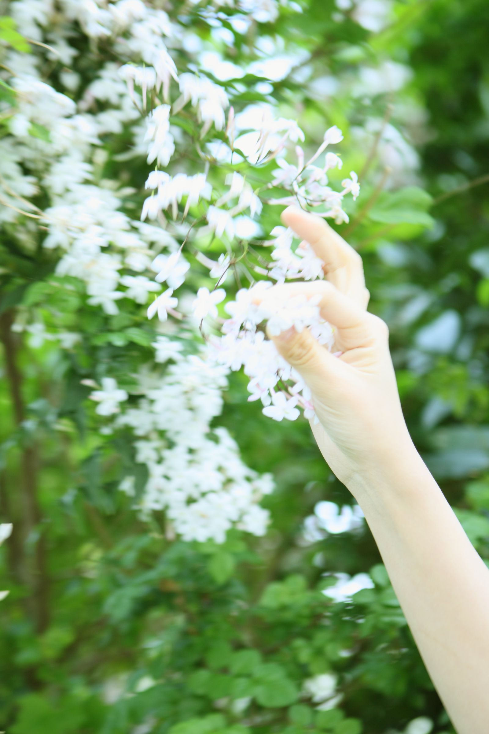 SF-No.538 Anna Ito 伊藤杏奈/滝沢杏奈-图10