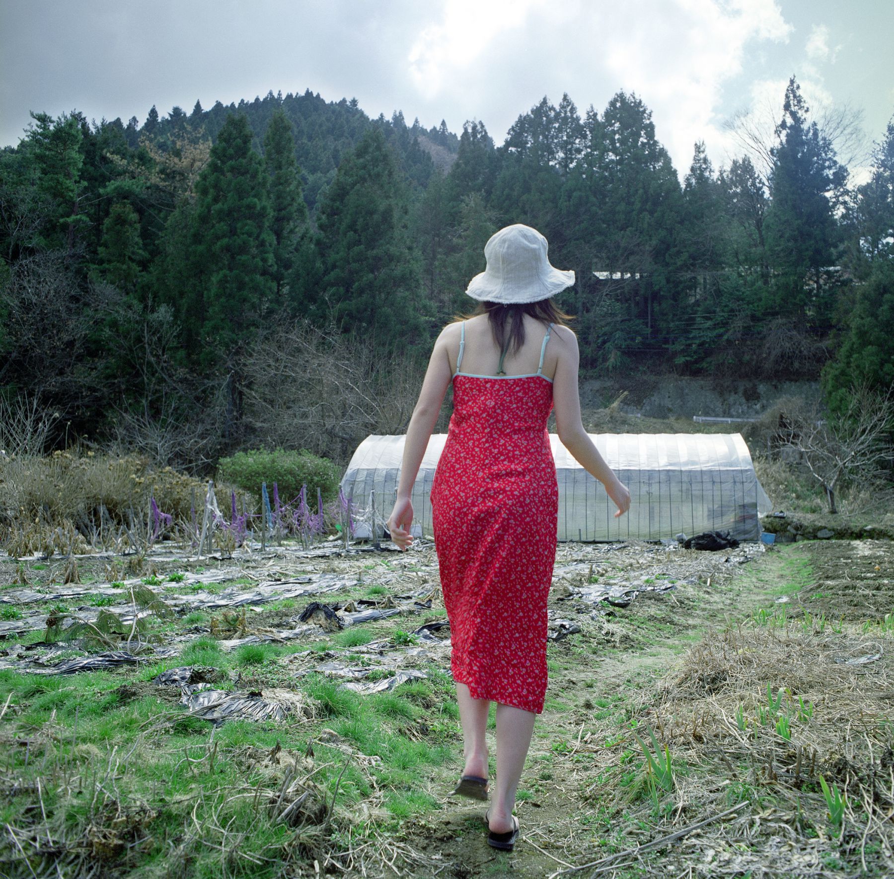 SF-No.586 Maya Koizumi 小泉麻耶-图0