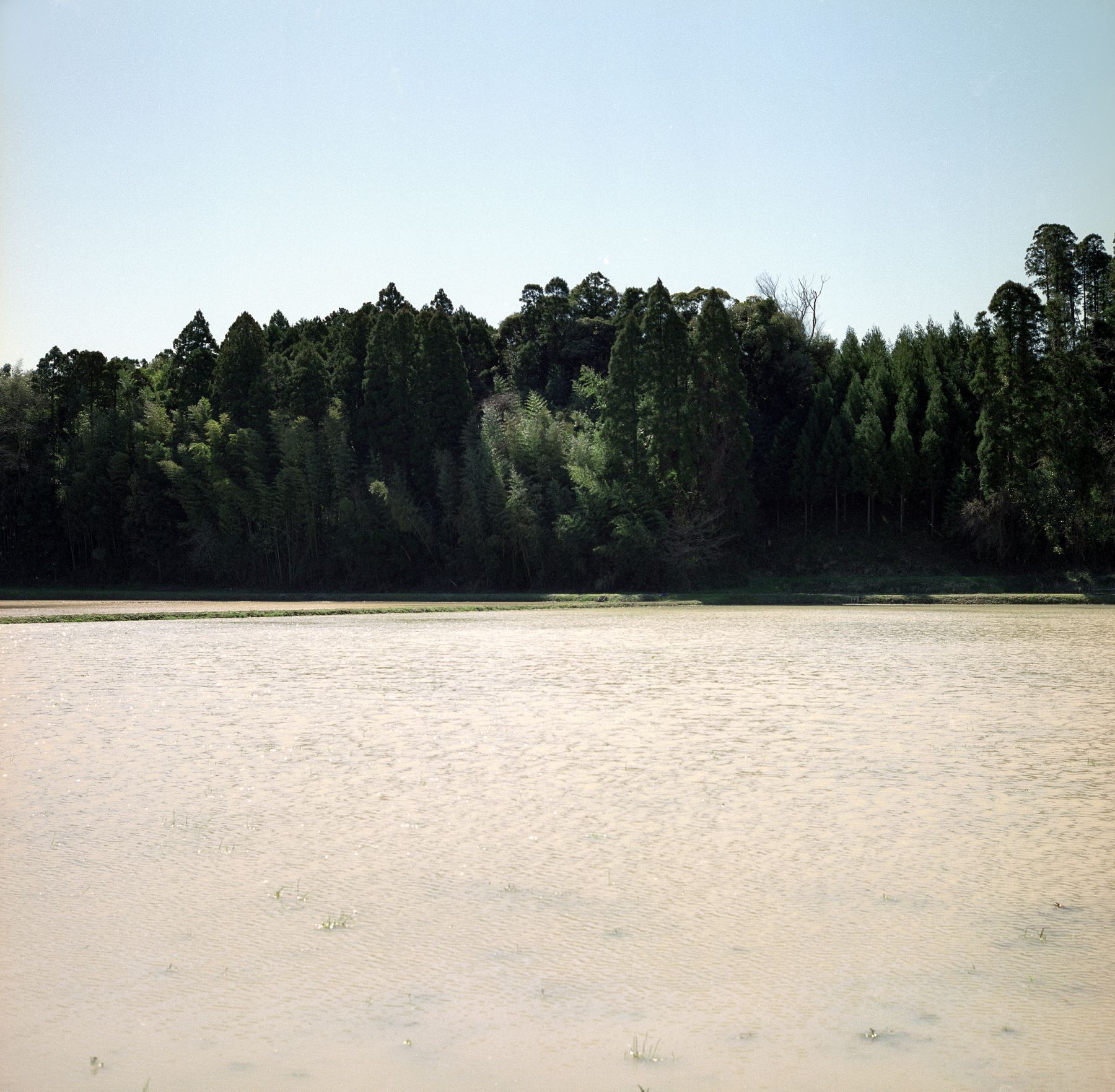 SF-No.586 Maya Koizumi 小泉麻耶-图9