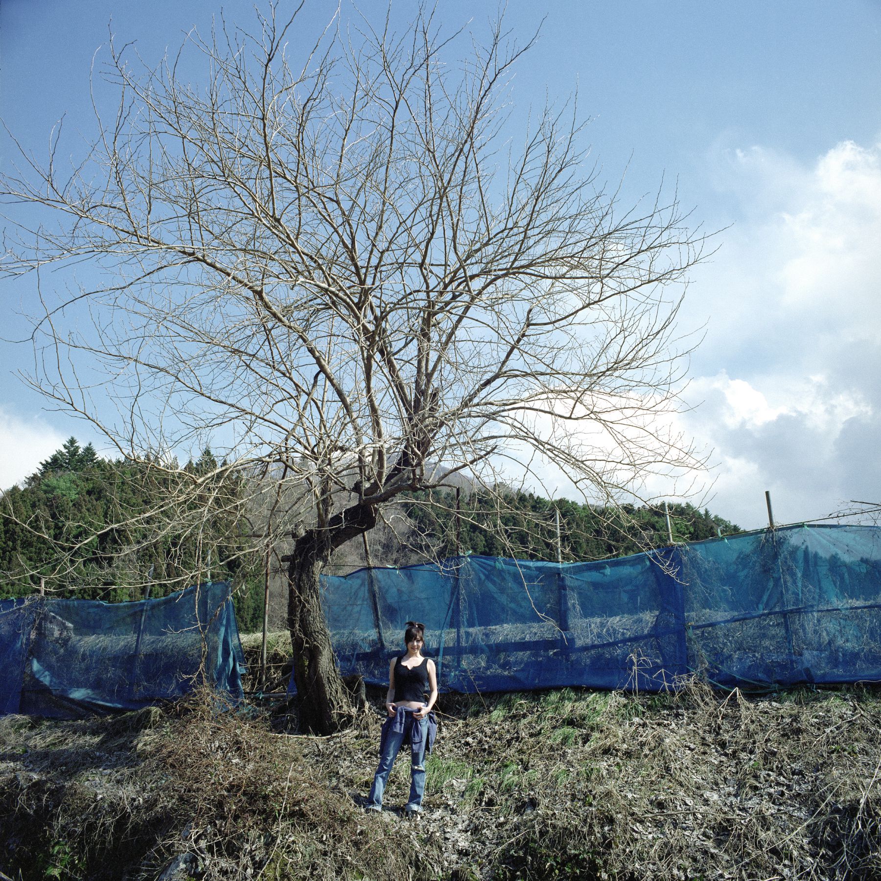 SF-No.586 Maya Koizumi 小泉麻耶-图1