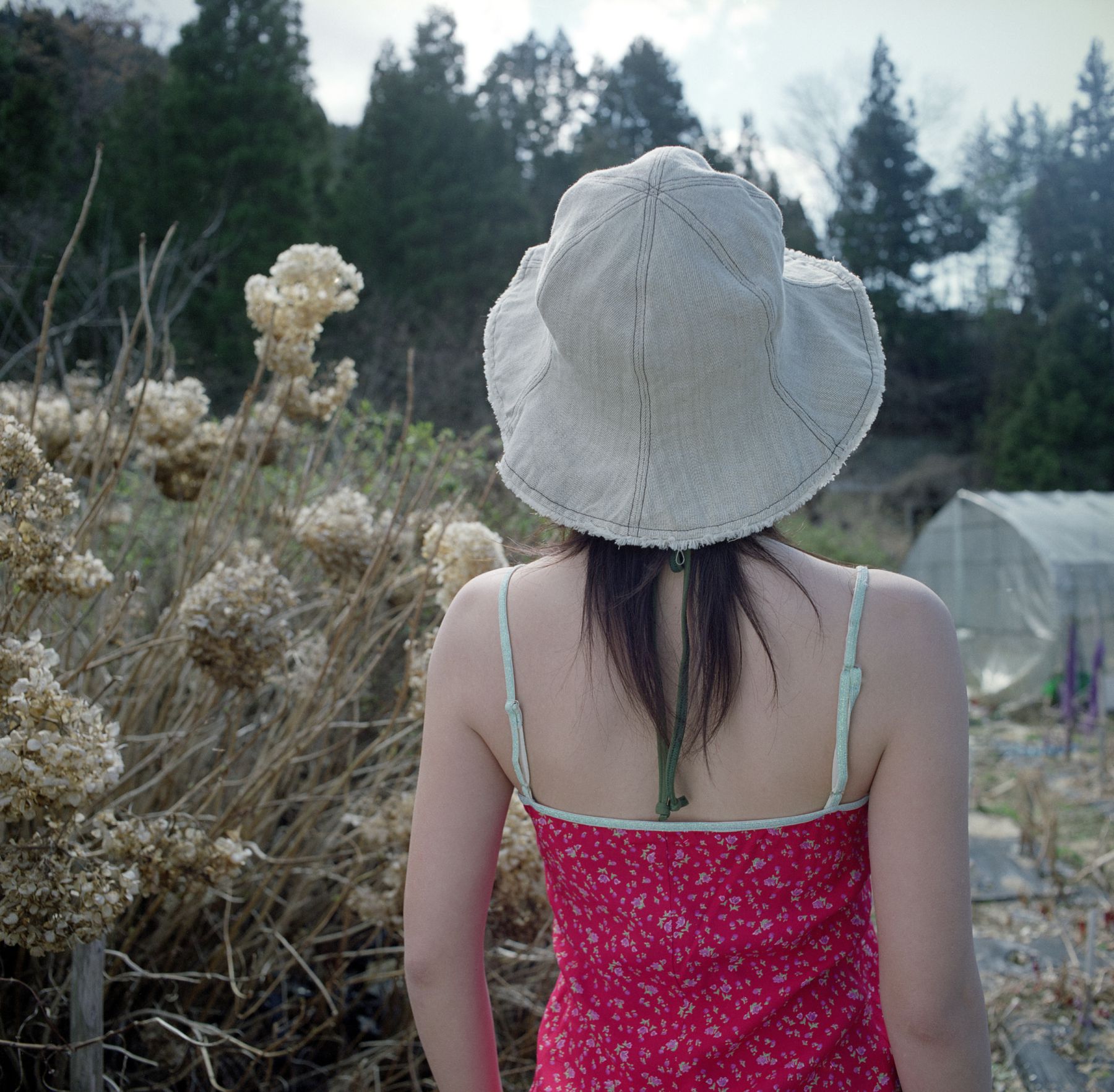 SF-No.586 Maya Koizumi 小泉麻耶-图3