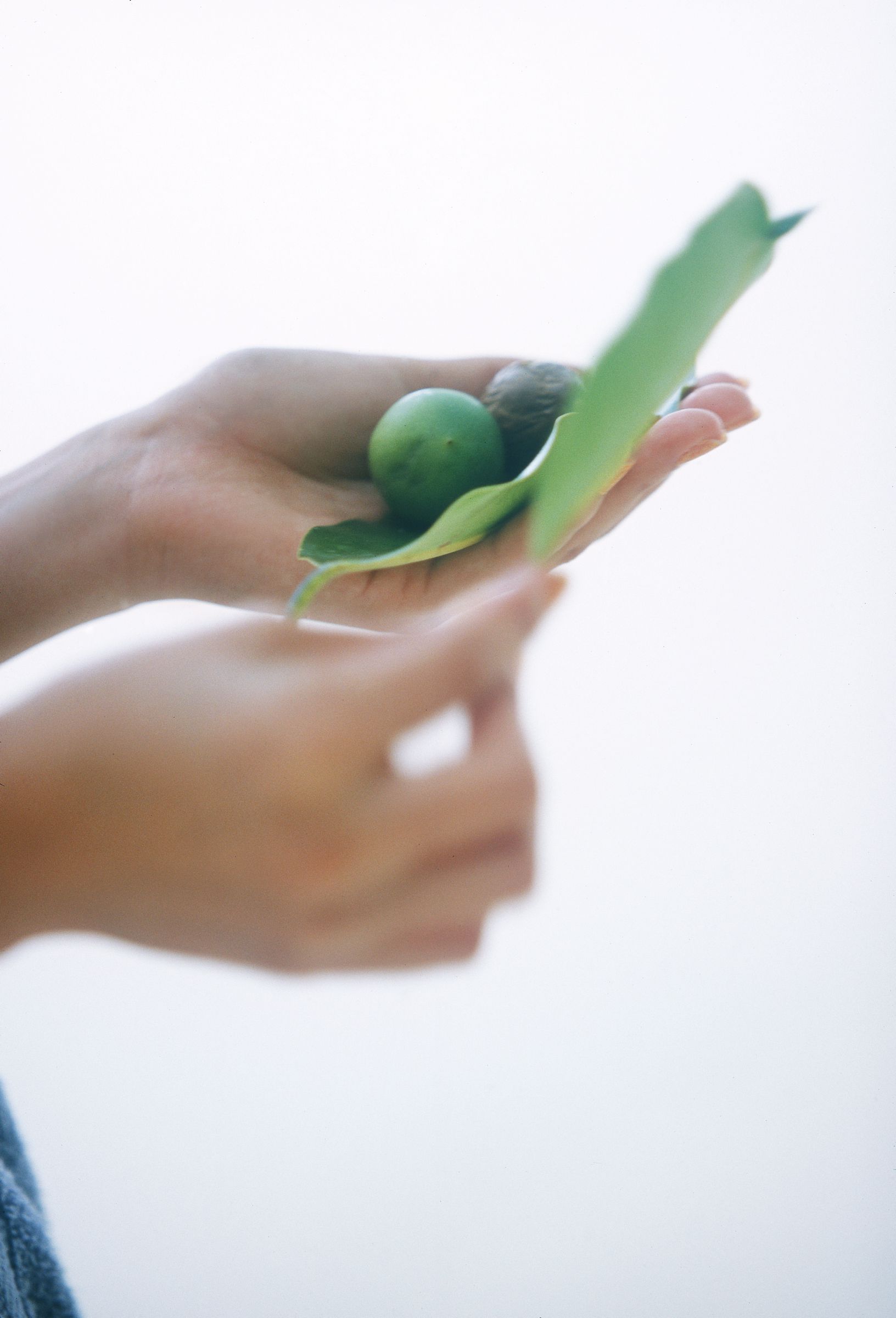 SF-No.587 Honoka 穗花-图23