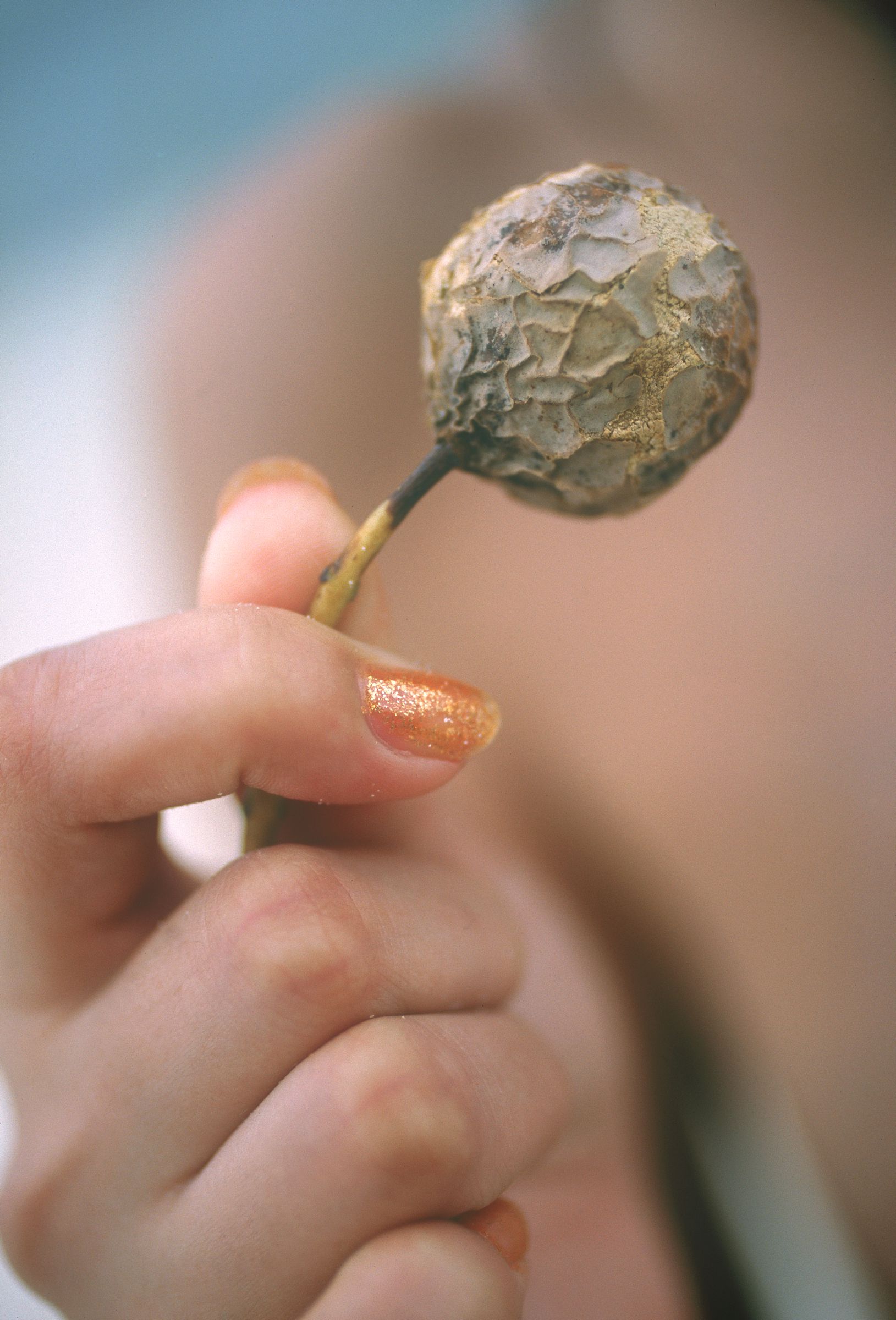 SF-No.587 Honoka 穗花-图24