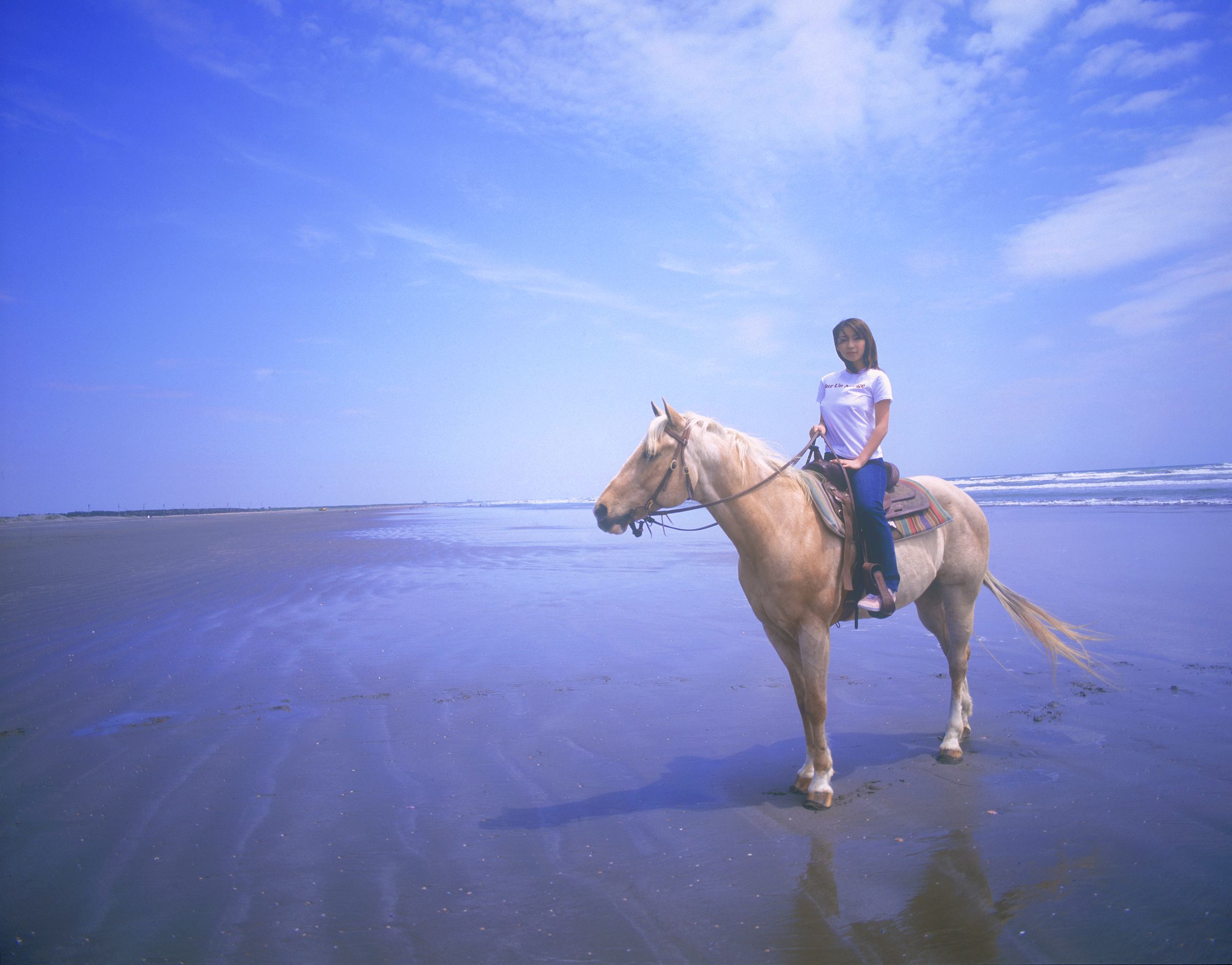 SF-No.600 Wakana Sakai 酒井若菜/酒井美幸-图17